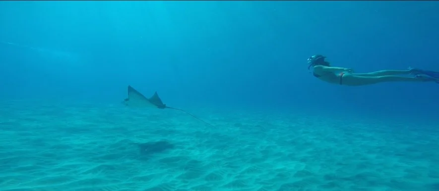 Wander With A Focus Pt.2