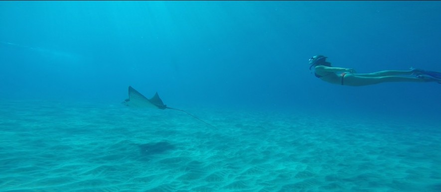 8 Life Lessons From A 28-Year-Old Mermaid