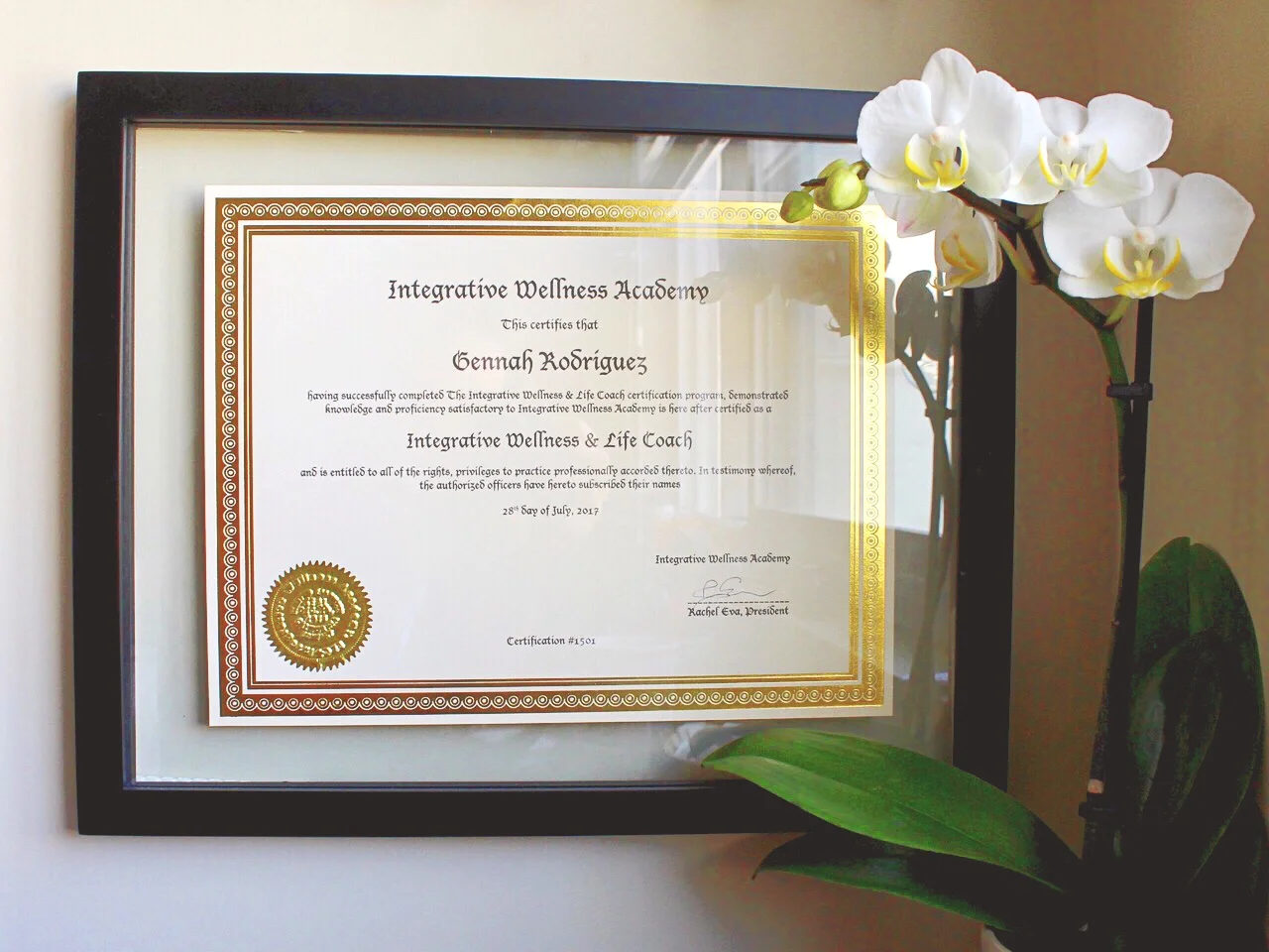 Confessions of a College Dropout