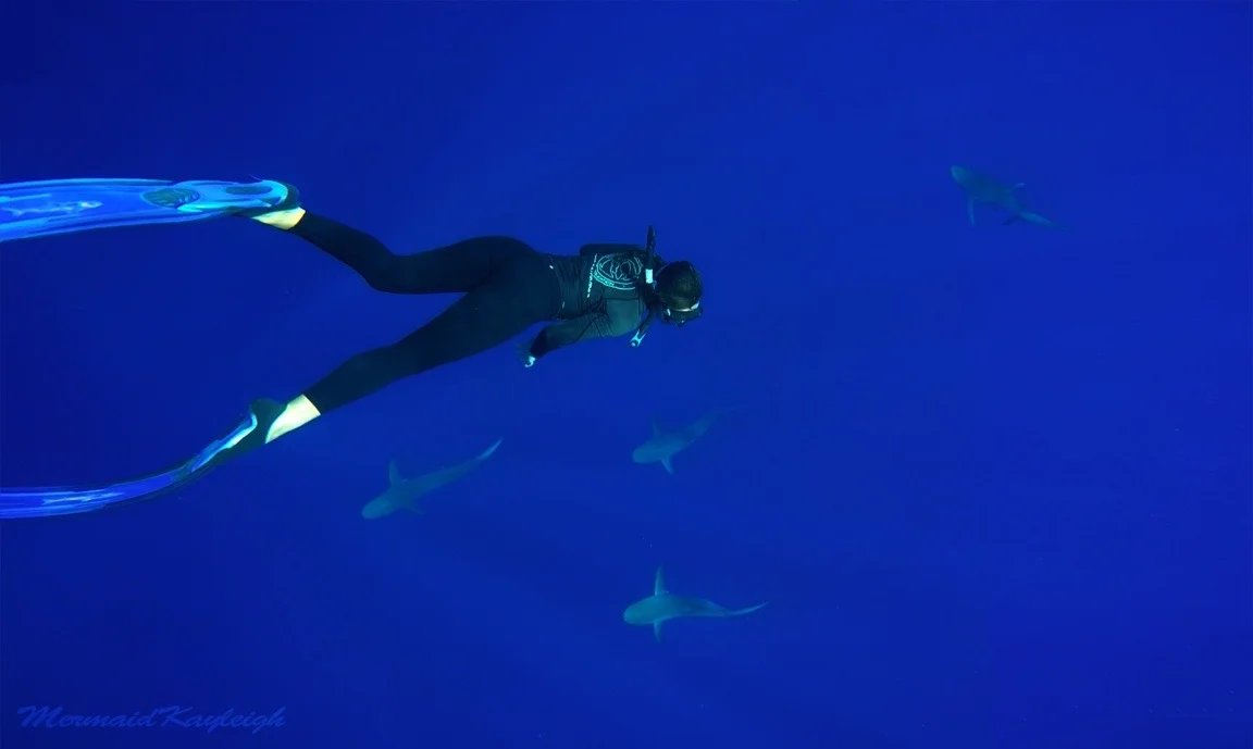 Live Every Week Like Shark Week