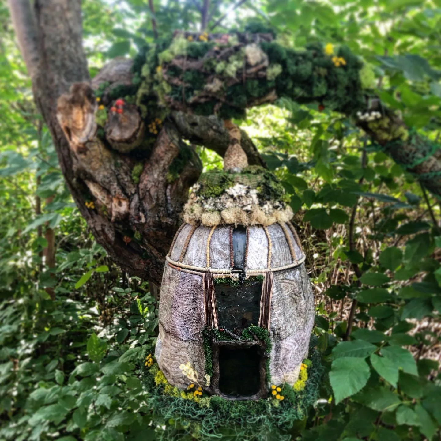 The fairy village is back! Visit magical #bumblewoodthicket starting Saturday afternoon at Glen Lake Park.
