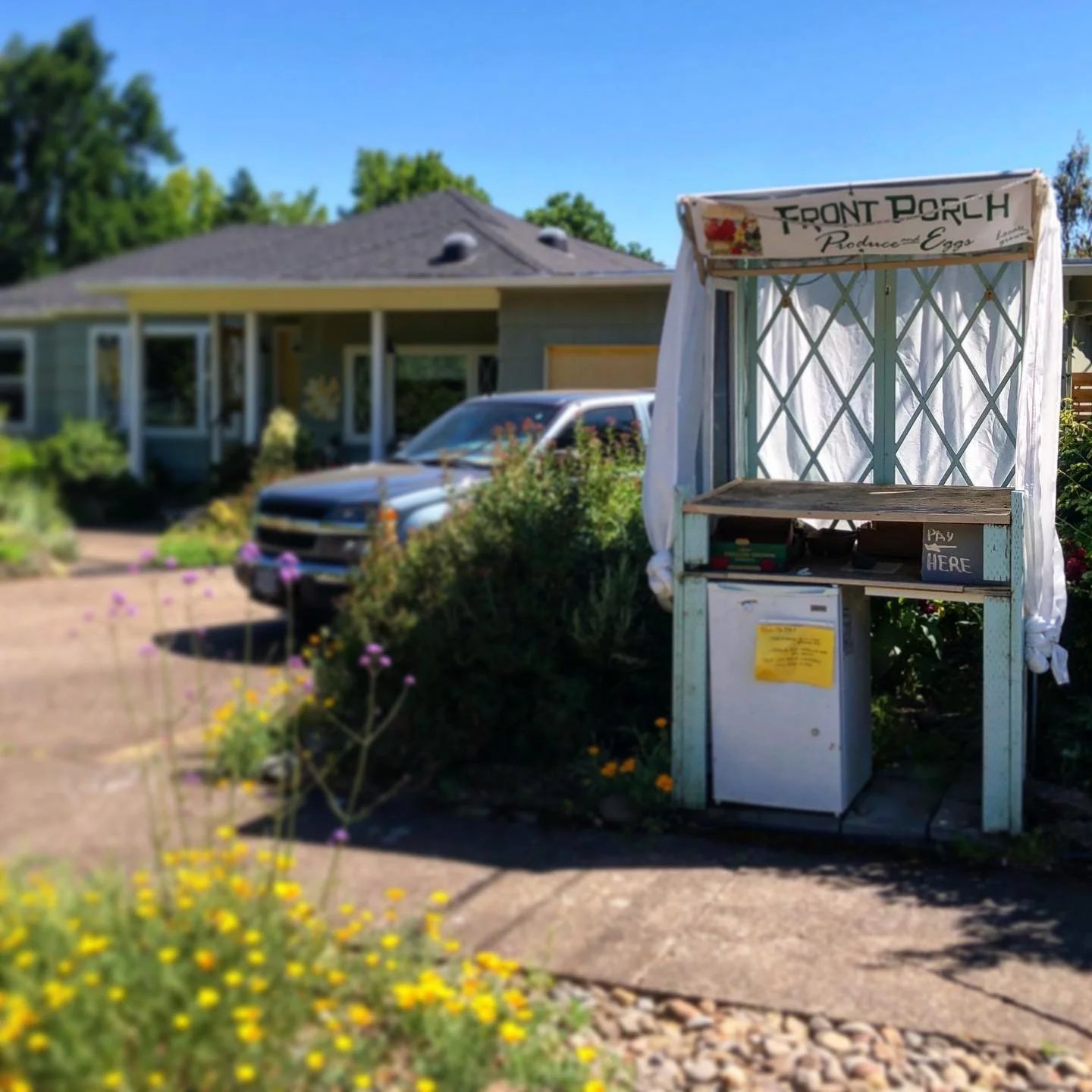 #urbanagriculture in Corvallis