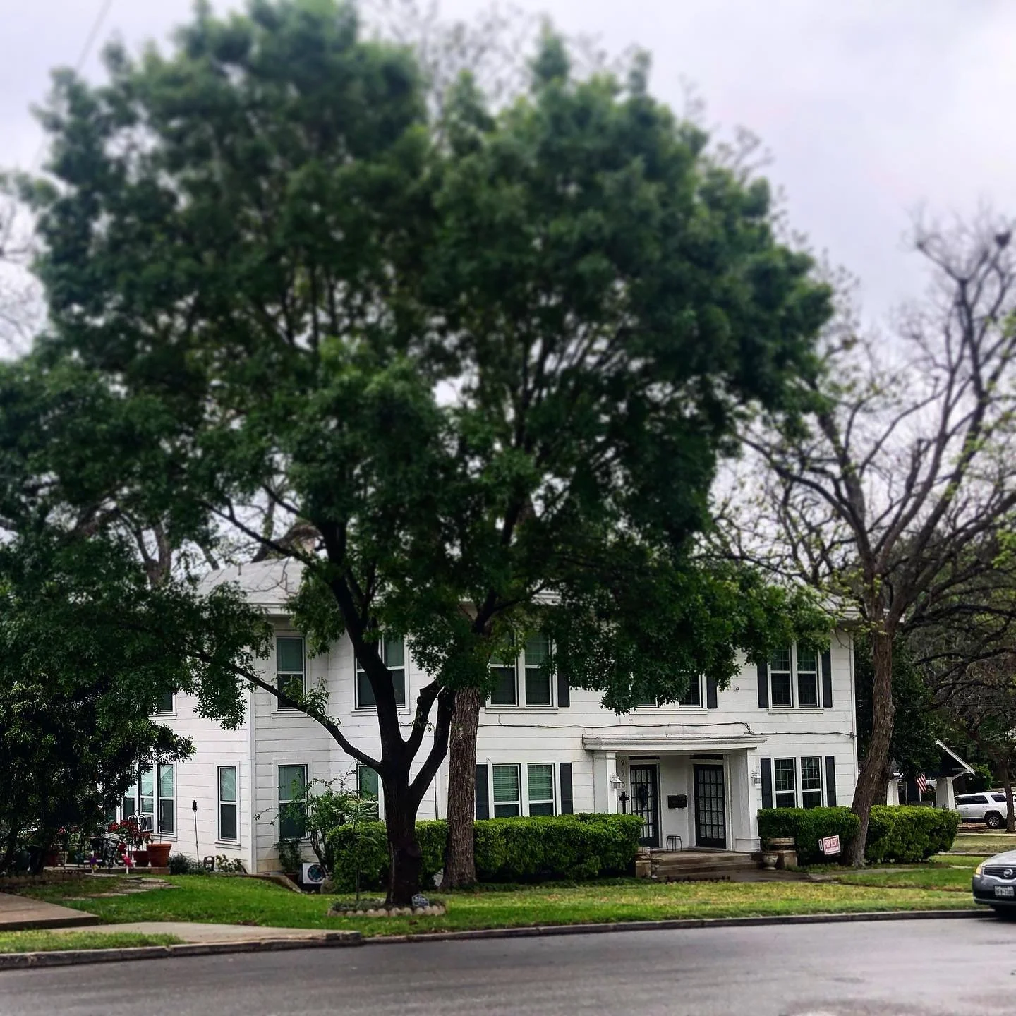 #hiddenfourplex #mansionapartments