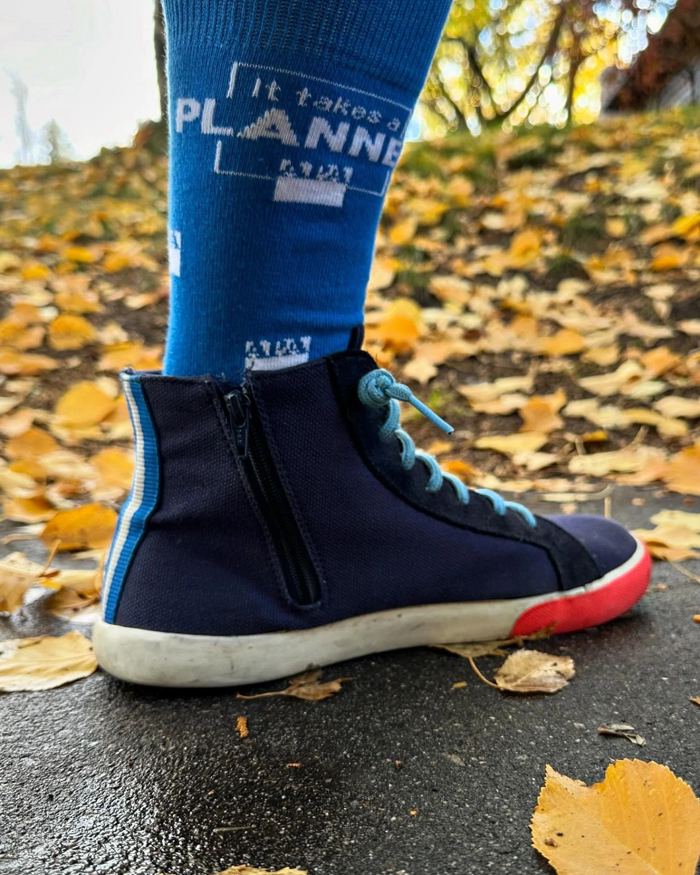 Wearing new favorite socks for inspiration today #ittakesaplanner