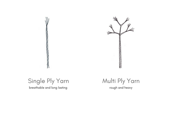 Ply.png