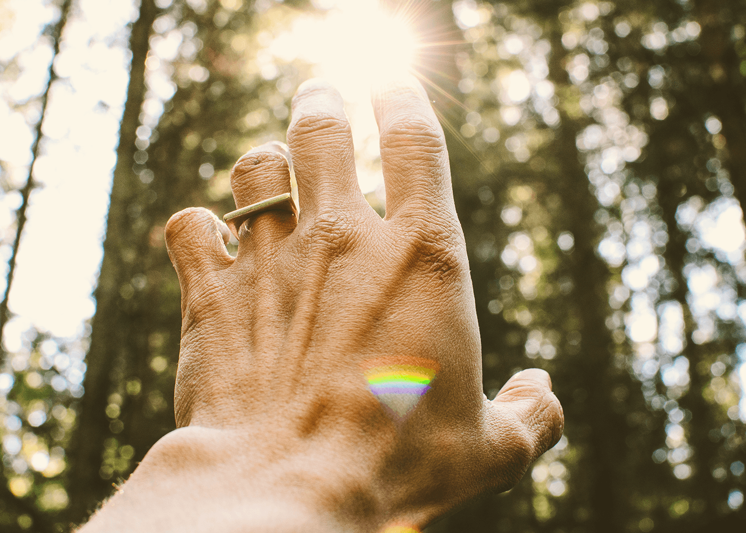 soul-aaron-blanco-tejedor-270469-unsplash.png