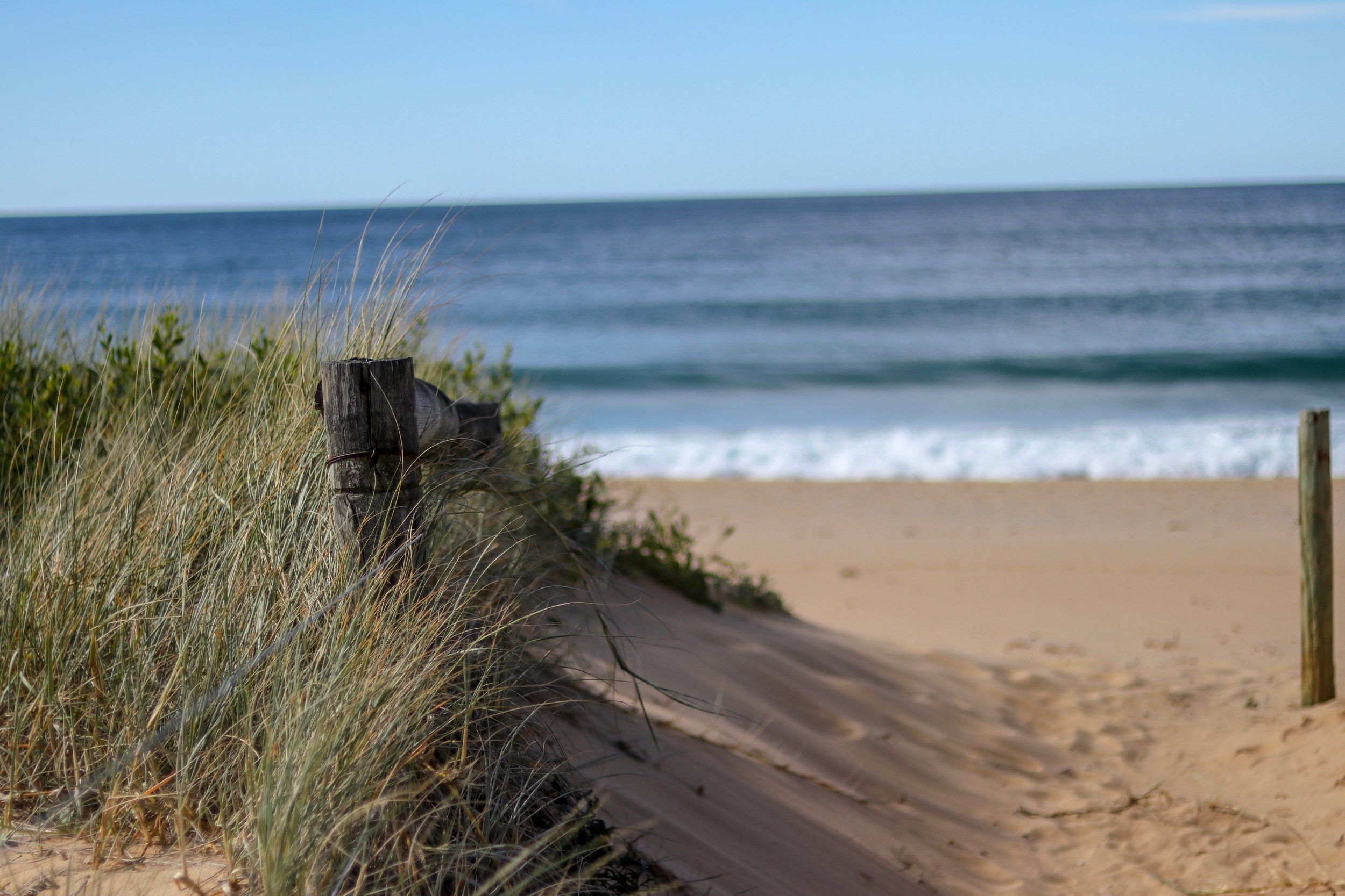 Werri Beach through the grass