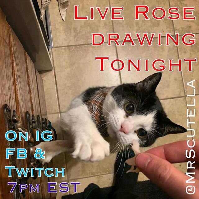Tonight at 7pm I&rsquo;ll be drawing a rose or two from scratch on IG, Fb, and @twitch ~
We will be listening to good tunes from @brothertiger and discussing how we&rsquo;re all feeling. ~
If y&rsquo;all are interested I will be taking commissions fo