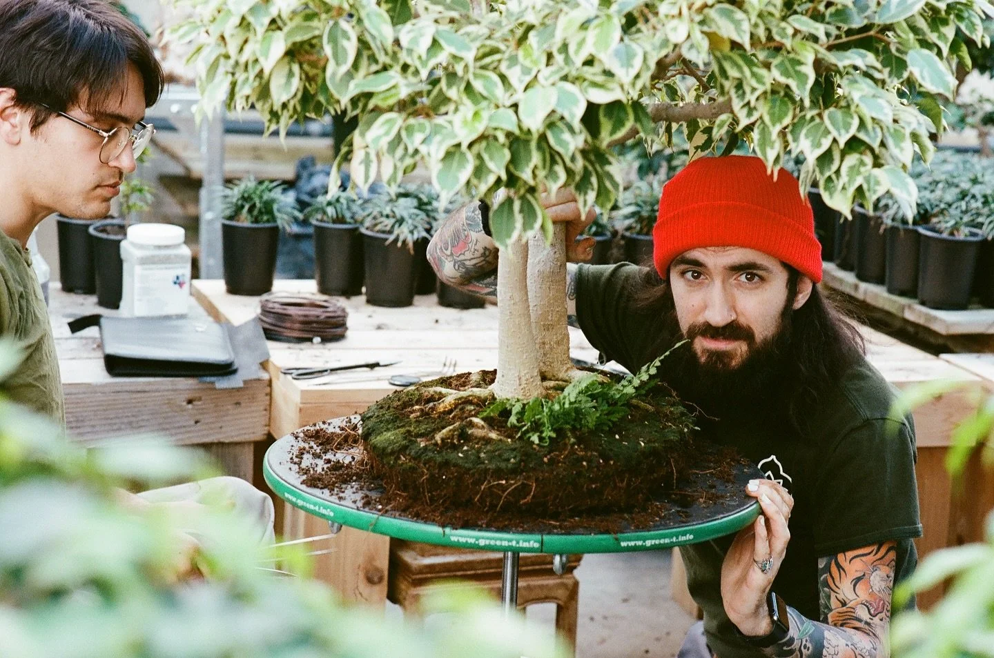 A Day in the World @phippsconservatory 
&bull;
We dance with bonsai and tell stories about our thoughts&hellip;all in the presence of the BIG ONE.
&bull;
Everything shot on #35mm with my Canon AE. Some of these photos may or may not be featured in my