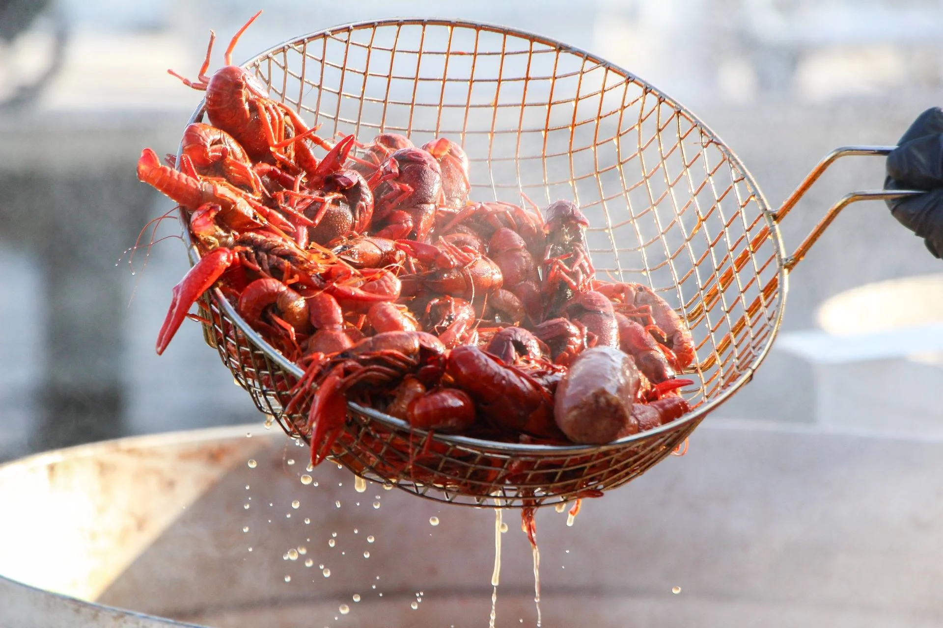 Crawdad crush