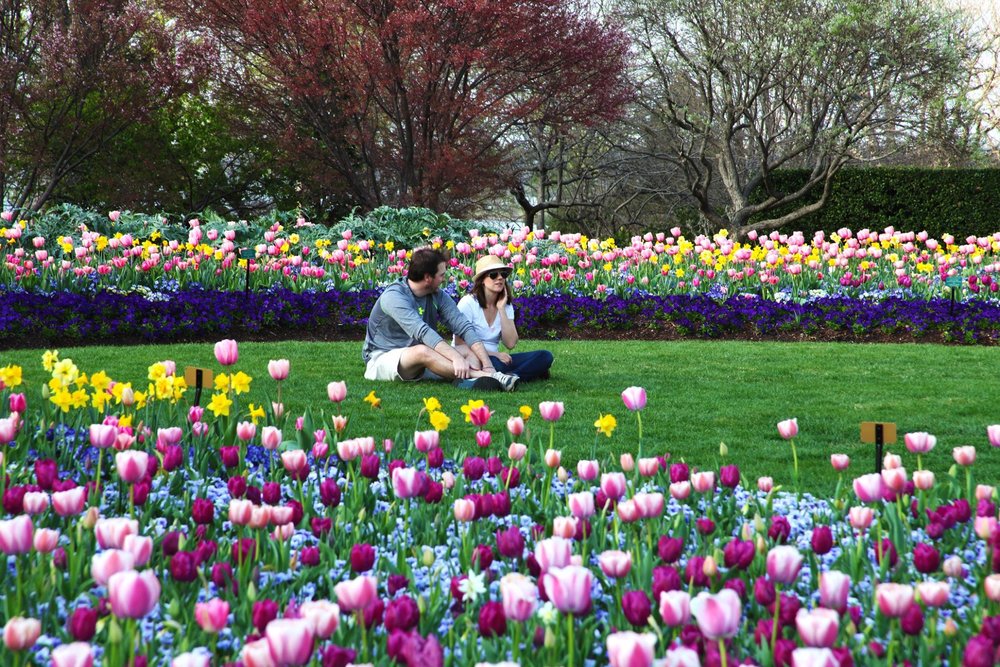 Botanical Garden At Heritage Park