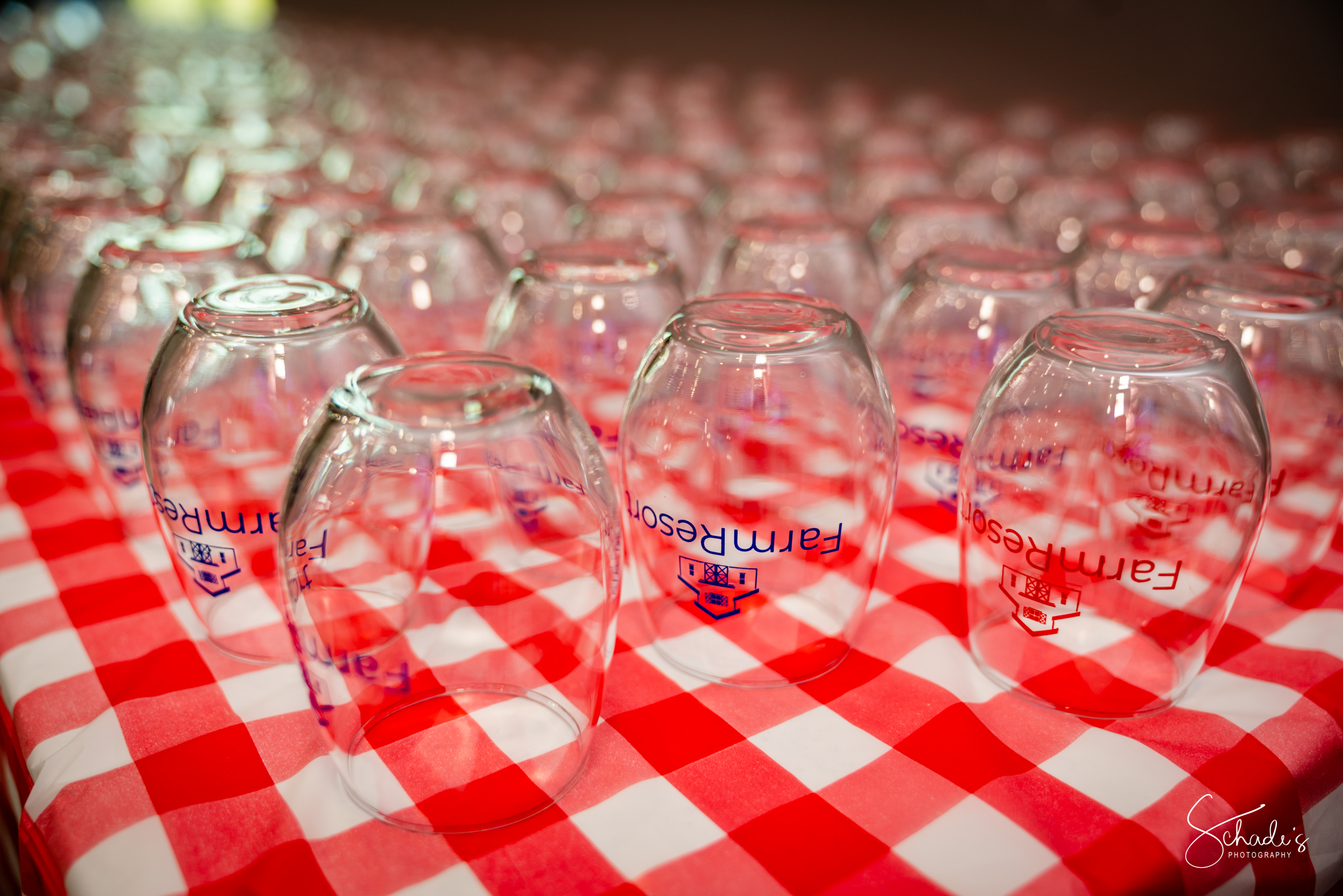 FarmResort Wine Glasses Picnic.jpg