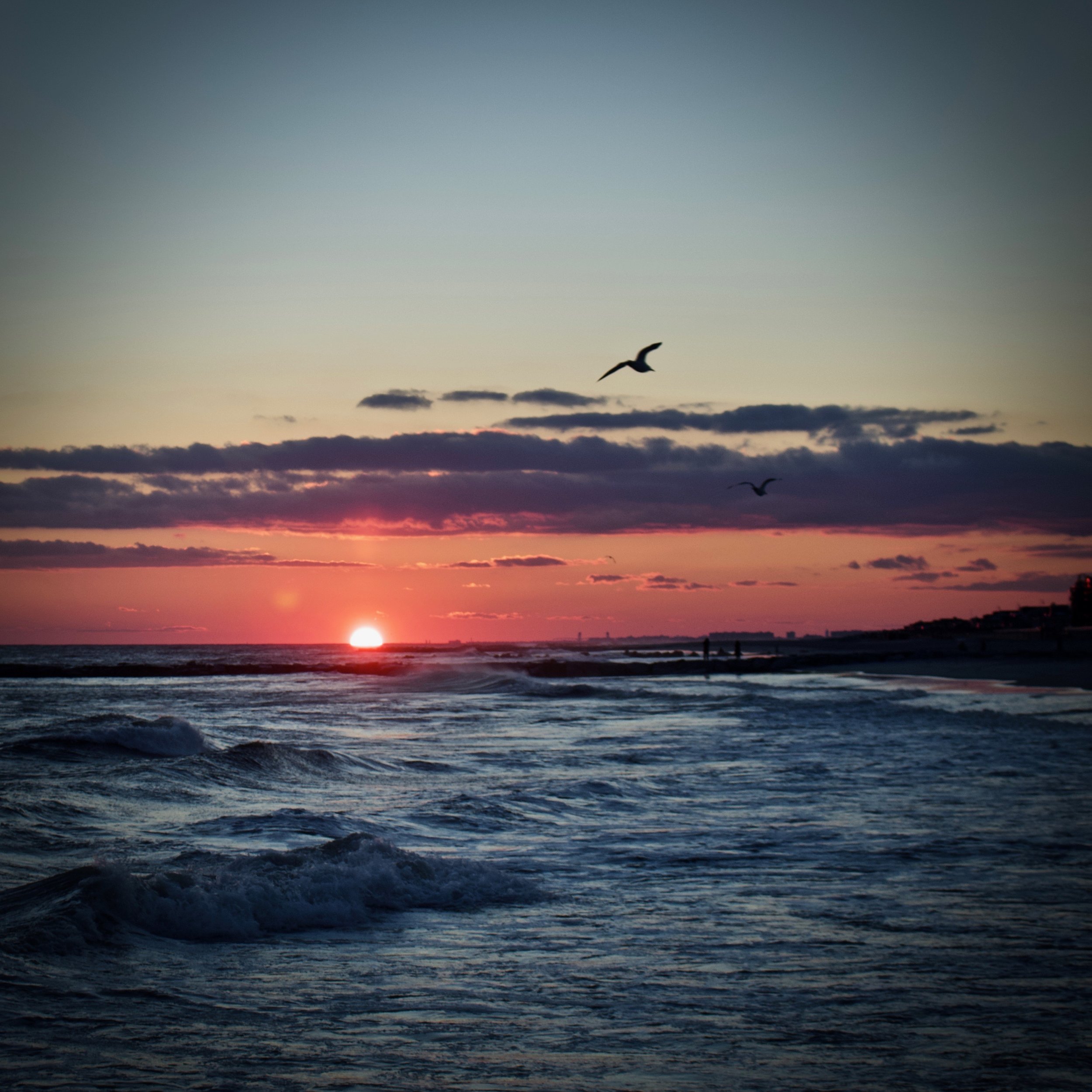 Long Beach Sunset (March 2019)