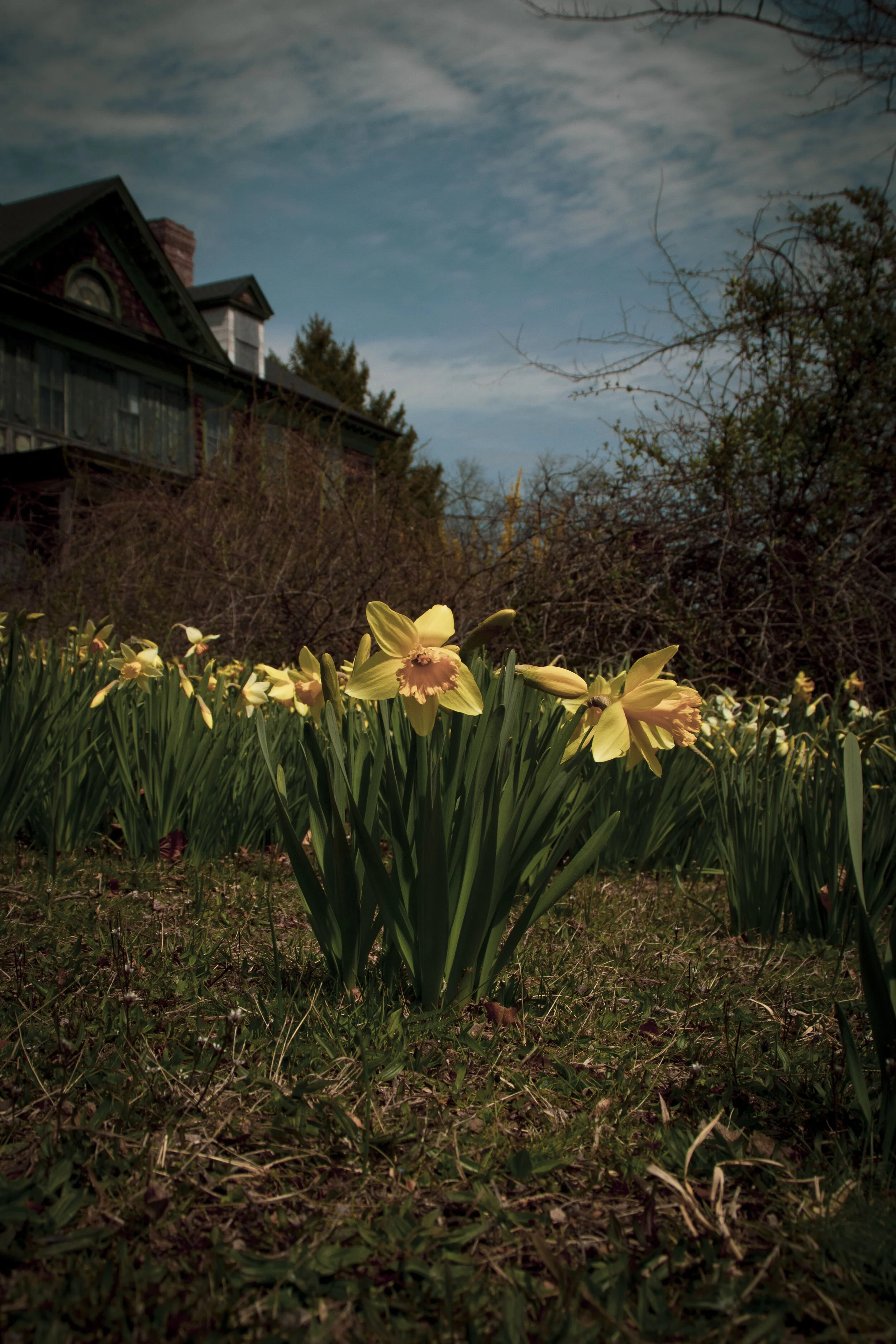 Ntvartists April Showers Bring May Flowers Through The Lens Of Kelly Teleglow Ntvli