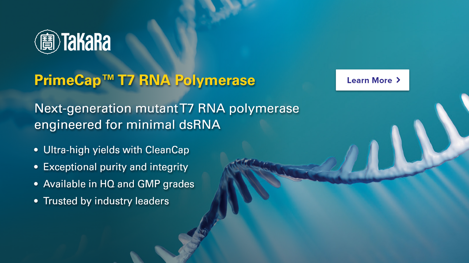 PrimeCap T7 RNA Polymerase