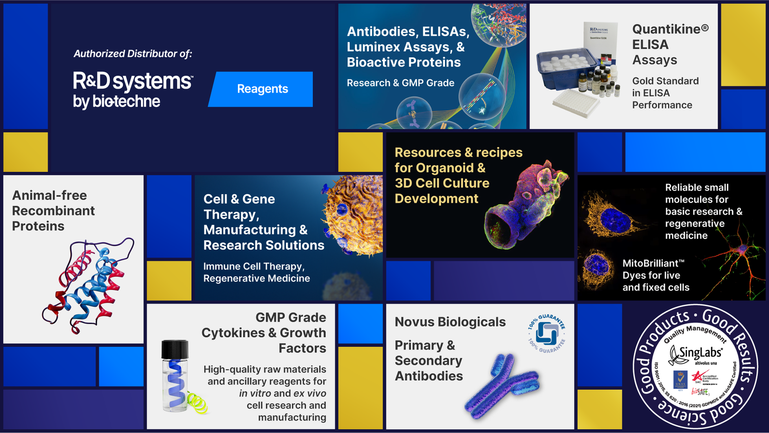 Bio-Techne R&D Systems Reagents
