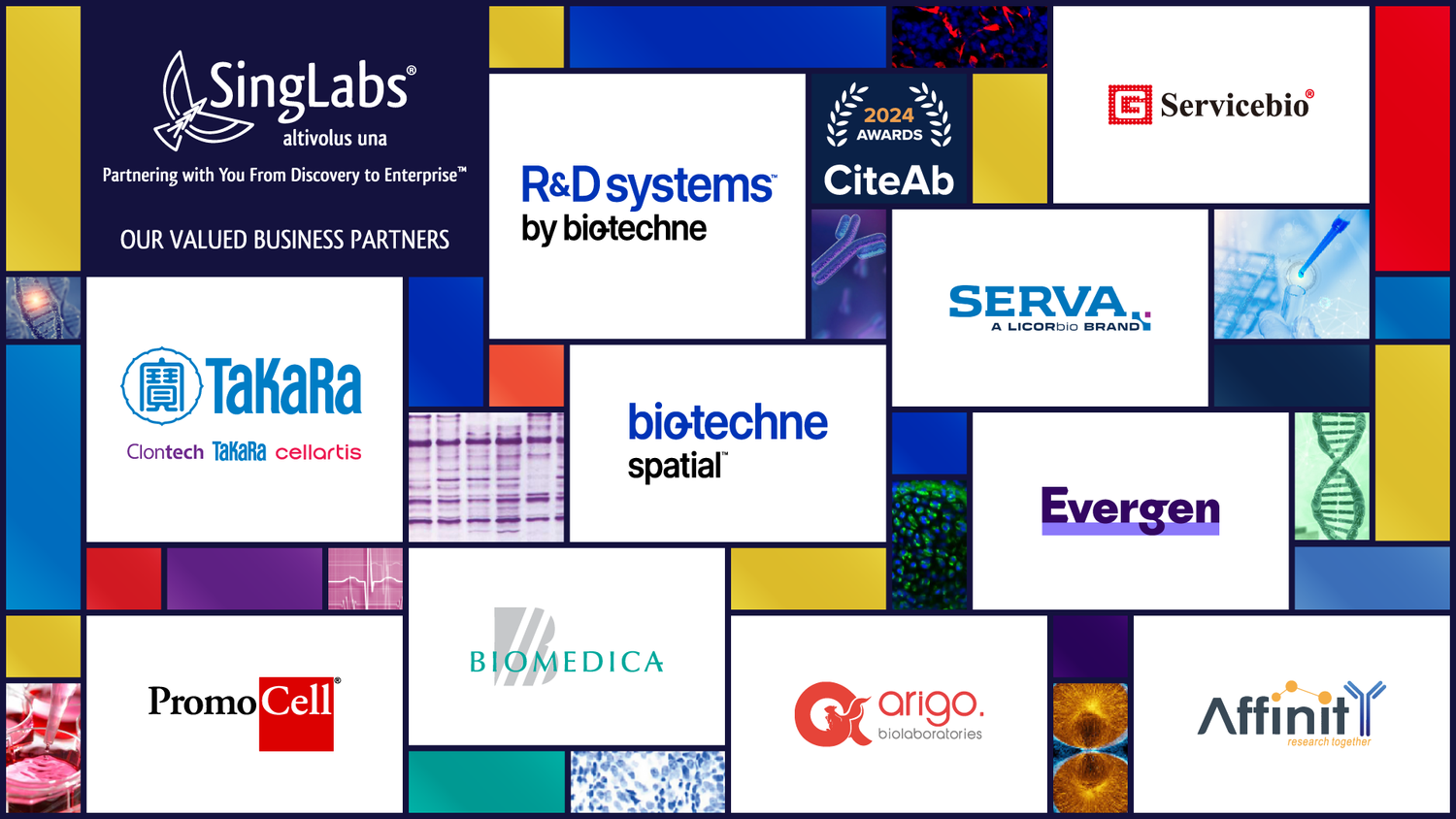 SingLabs - Our Valued Business Partners