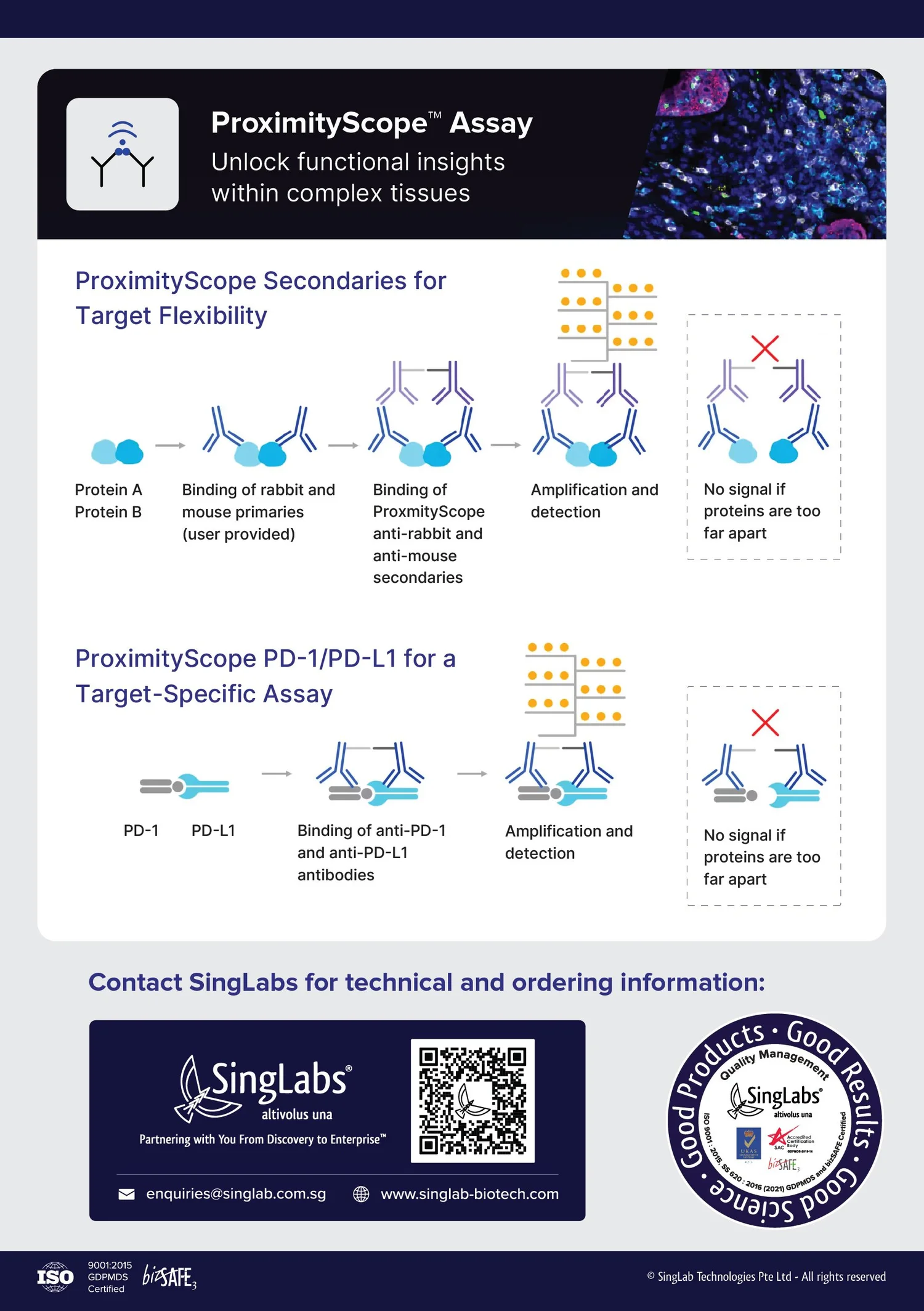 Bio-Techne Spatial Page 2
