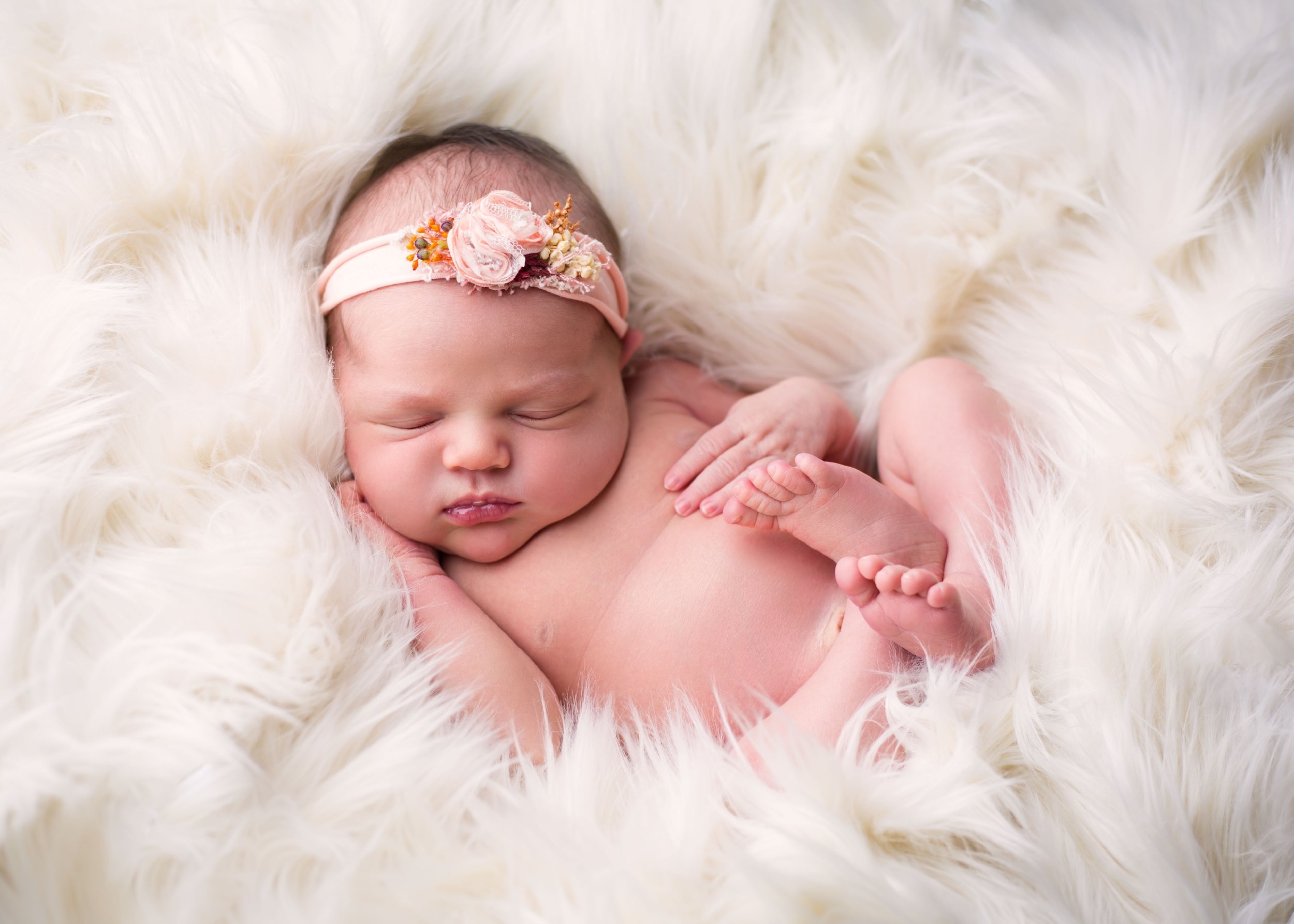 Photo by Stacey Peterson - mobiephoto.com