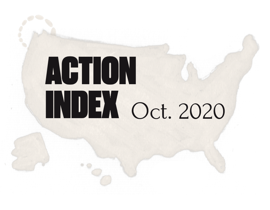 Action Index 2020 Image - October.png