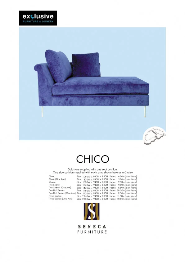 CHICO copy.jpg