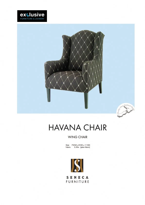 HAVANA copy.jpg