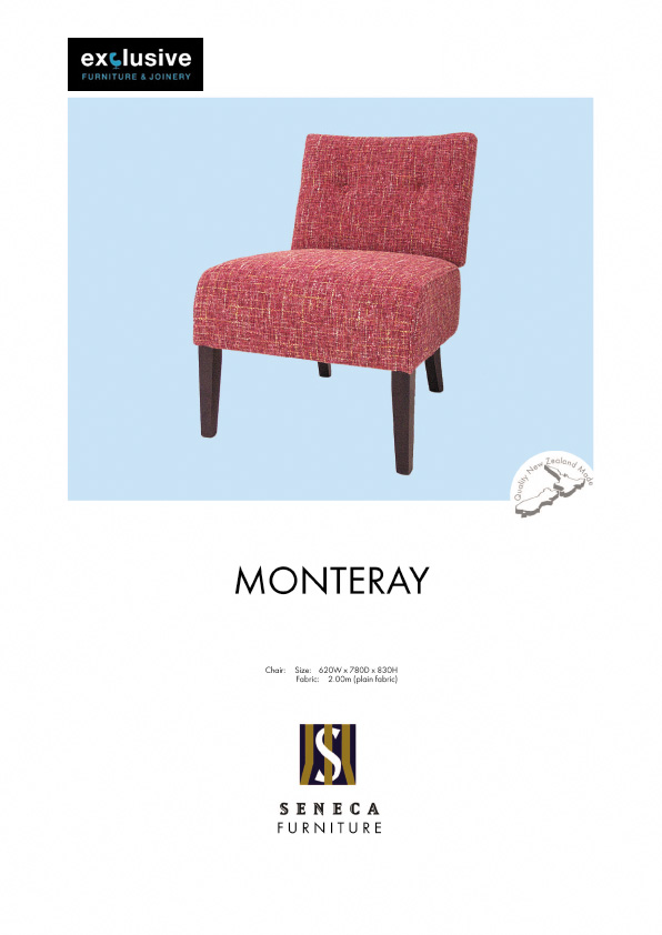 MONTERAY copy.jpg