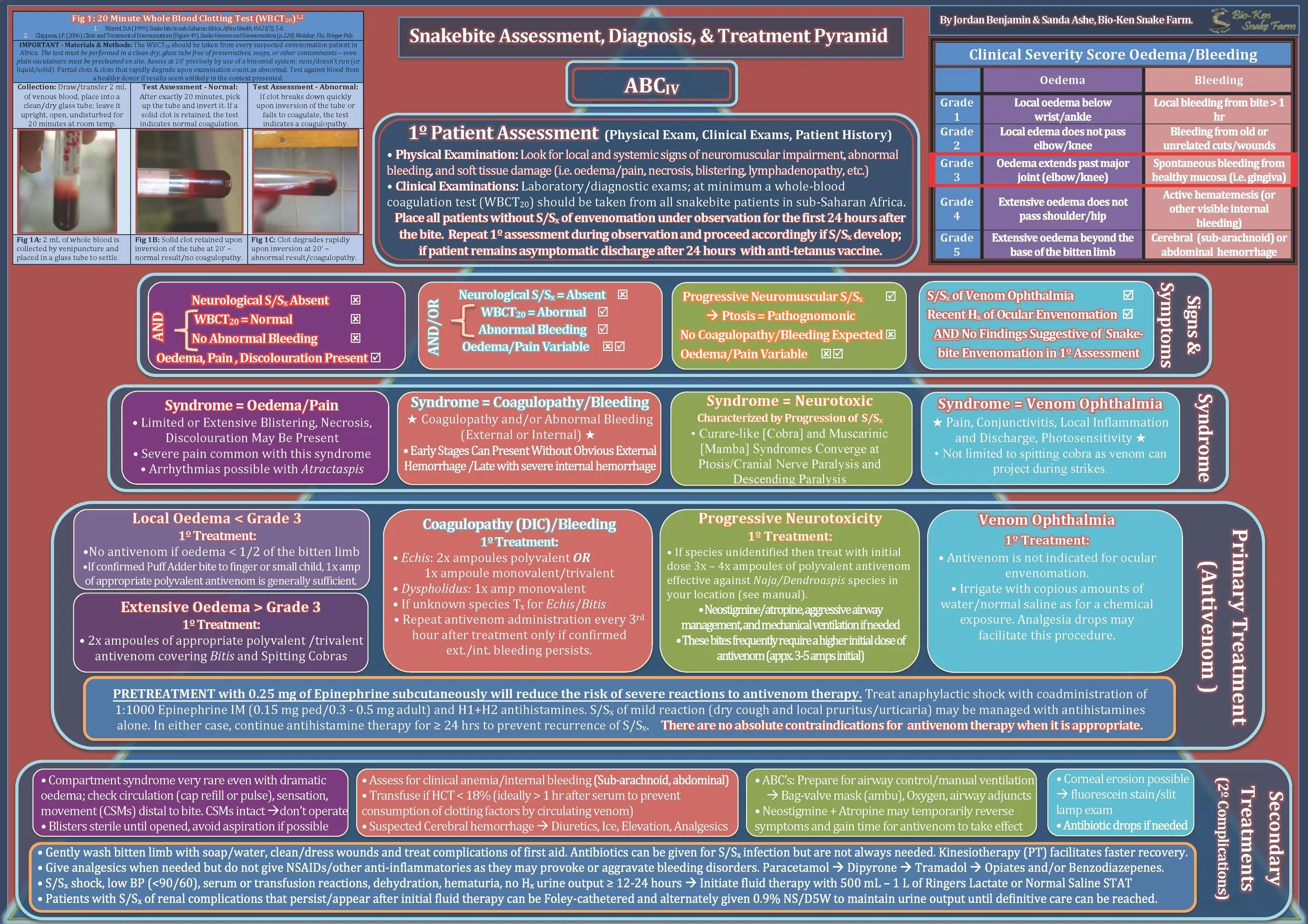 Jordan Benjamin and the late Sanda Ashe of the Bio-Ken Snake Farm in Watamu, Kenya spent several years developing and refining a poster for health professionals to place on the walls of their clinics that guides them through all of the steps of assessing, diagnosing, treating and monitoring a snakebite patient in sub-Saharan Africa.