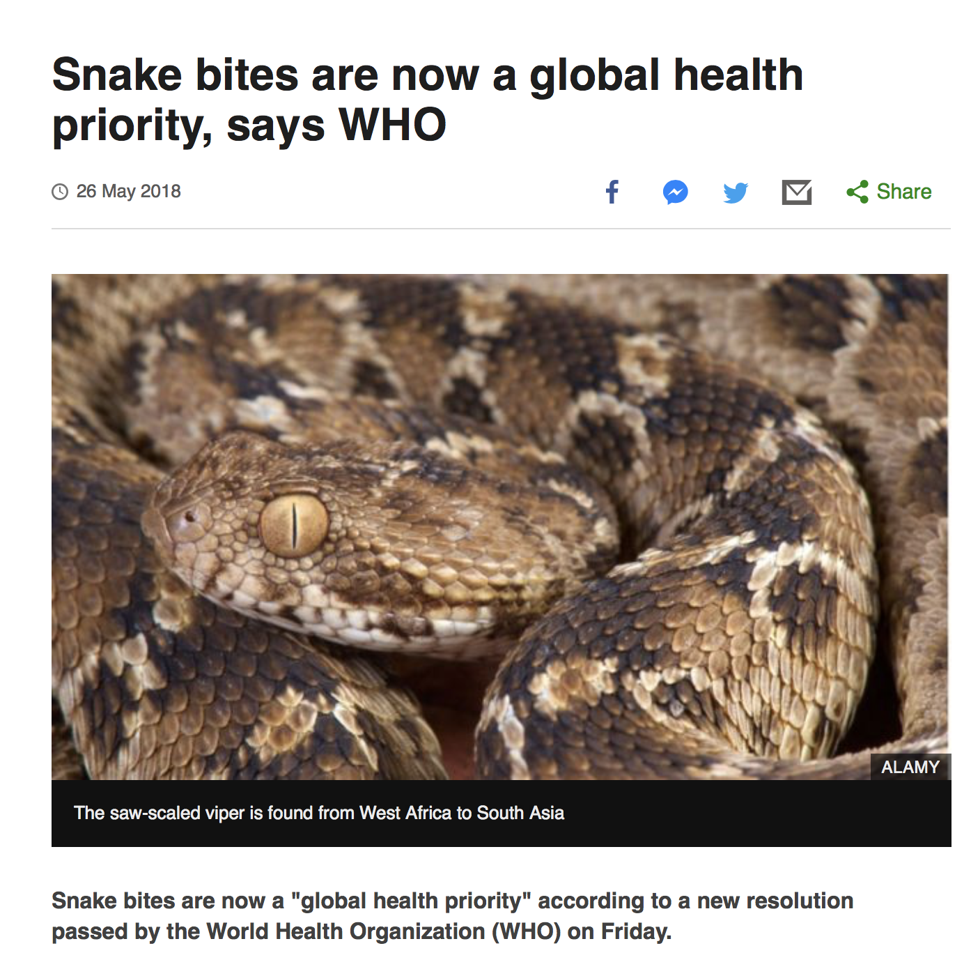 Screen Shot 2018-08-17 at 4.05.38 PM.png