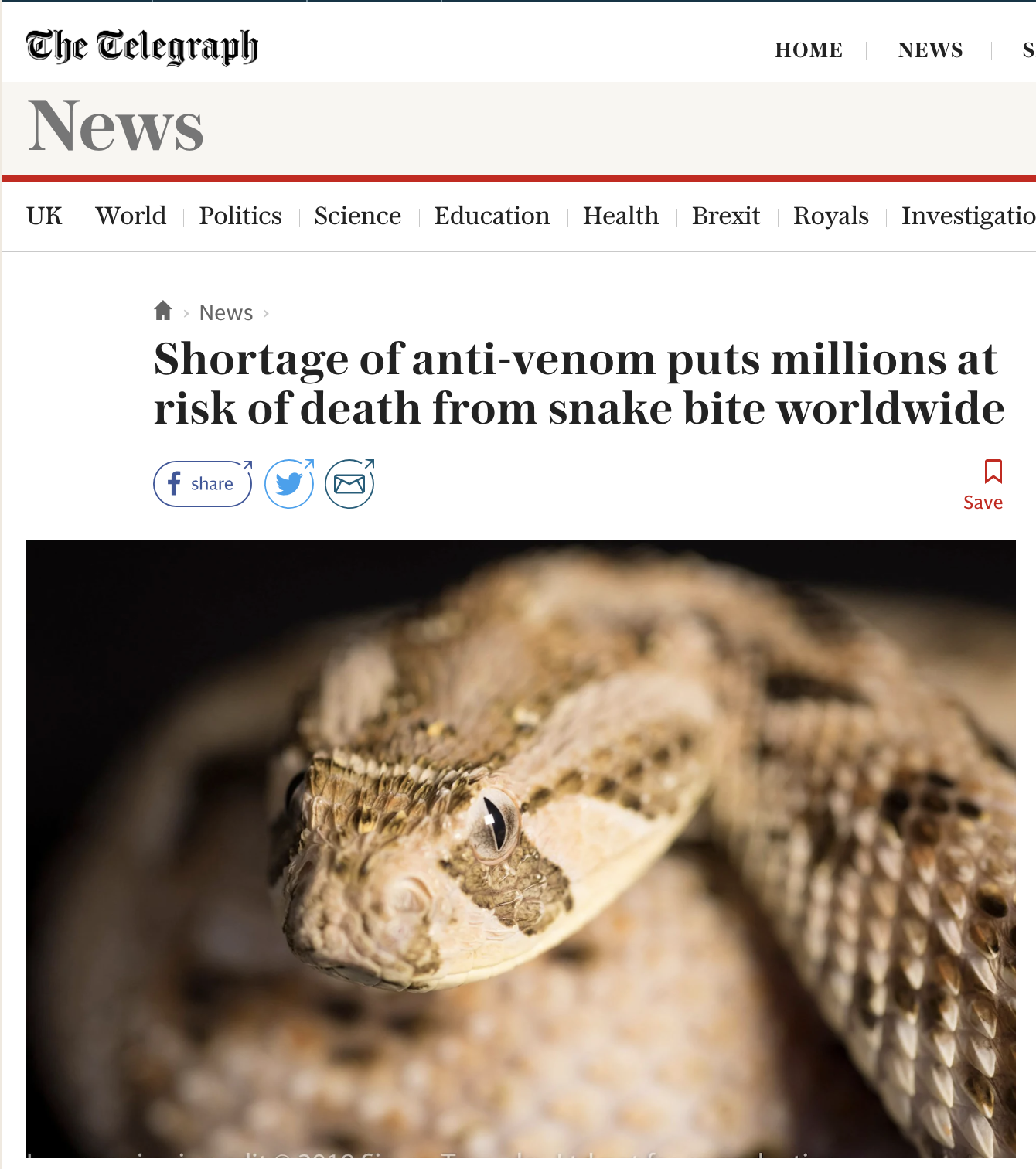 Screen Shot 2018-08-17 at 4.29.00 PM.png