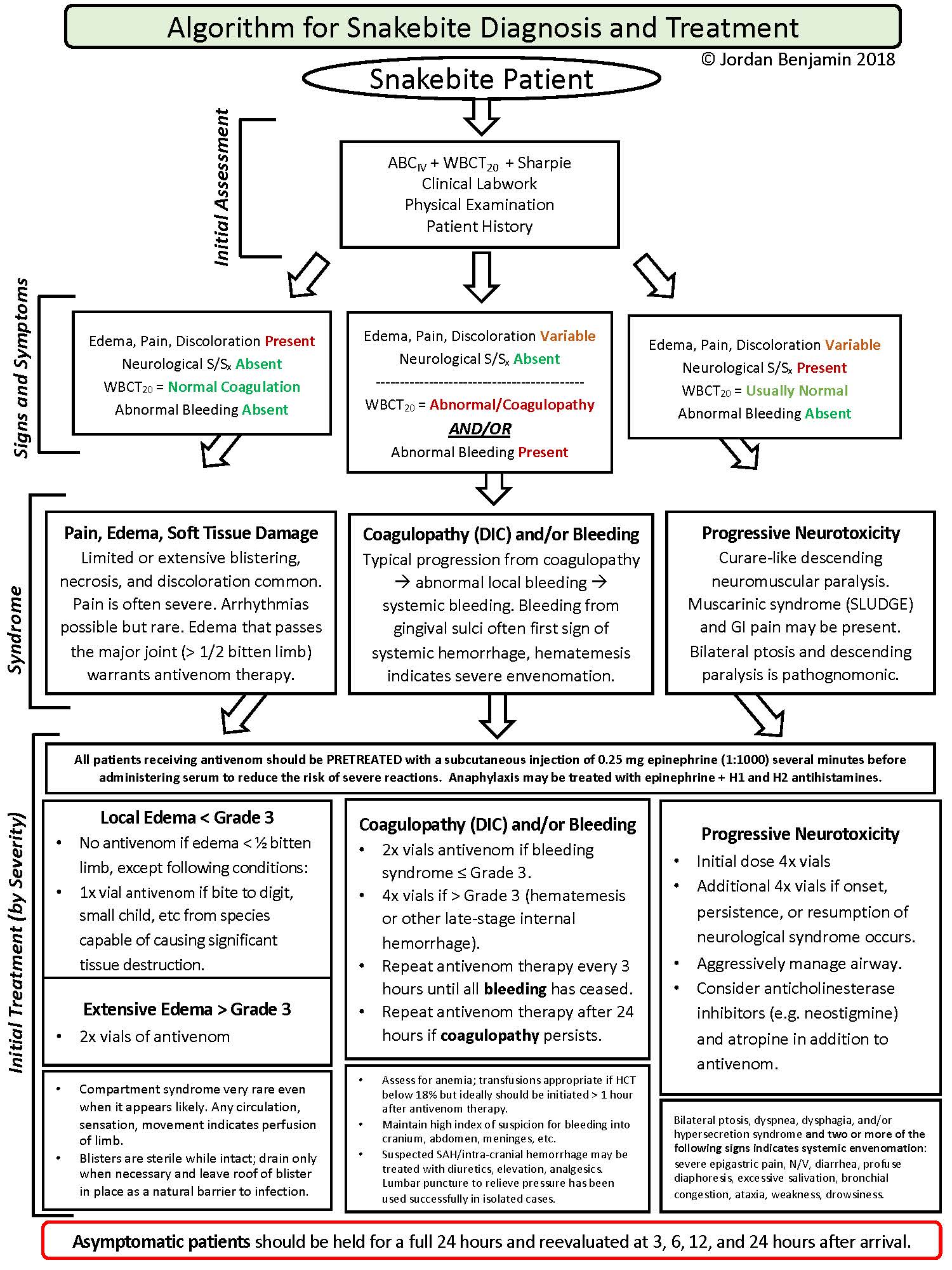 Algorithm for Snakebite Diagnosis and Treatment.jpg
