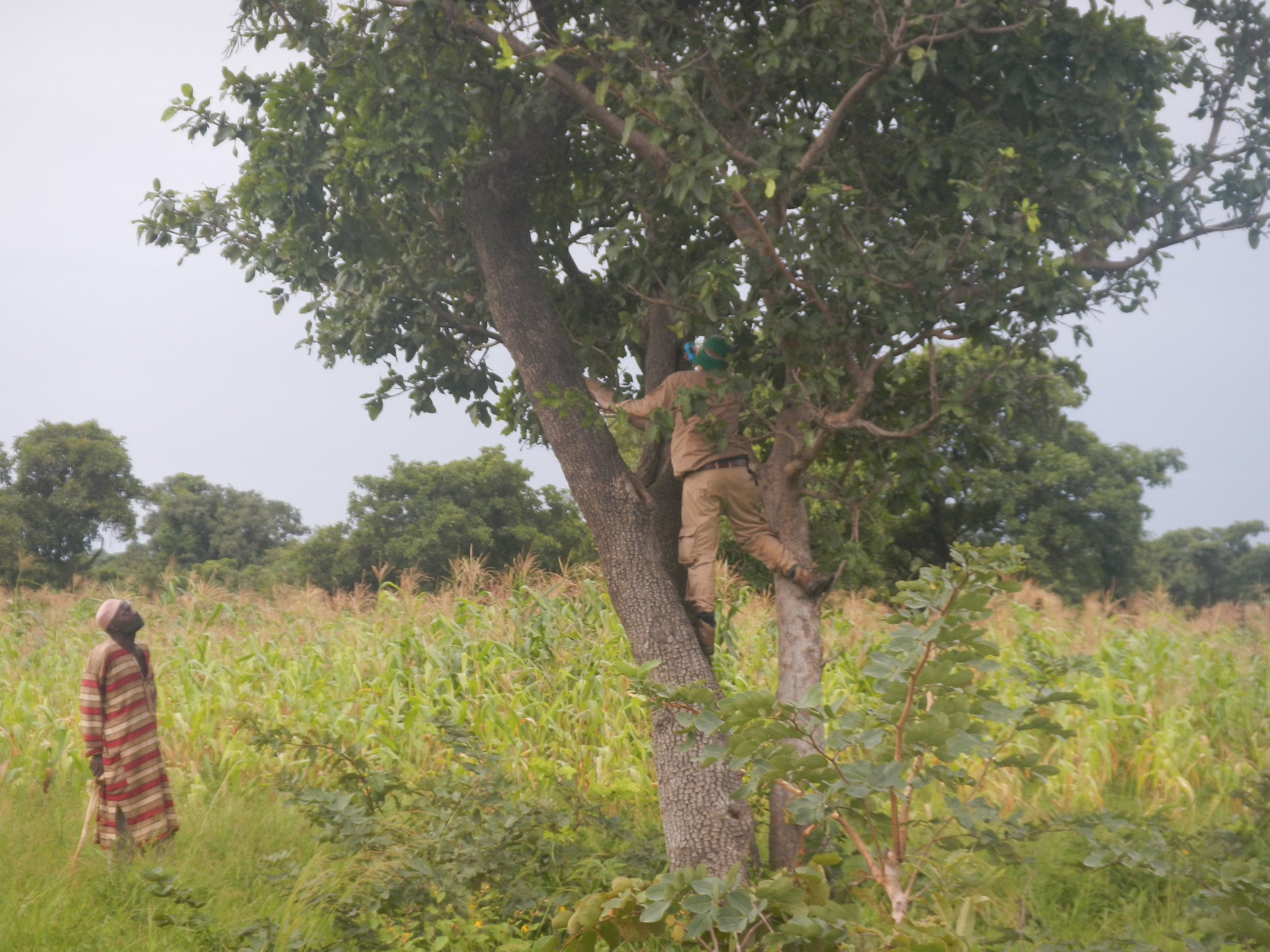 Relevant Benin Photos - 0350.jpg