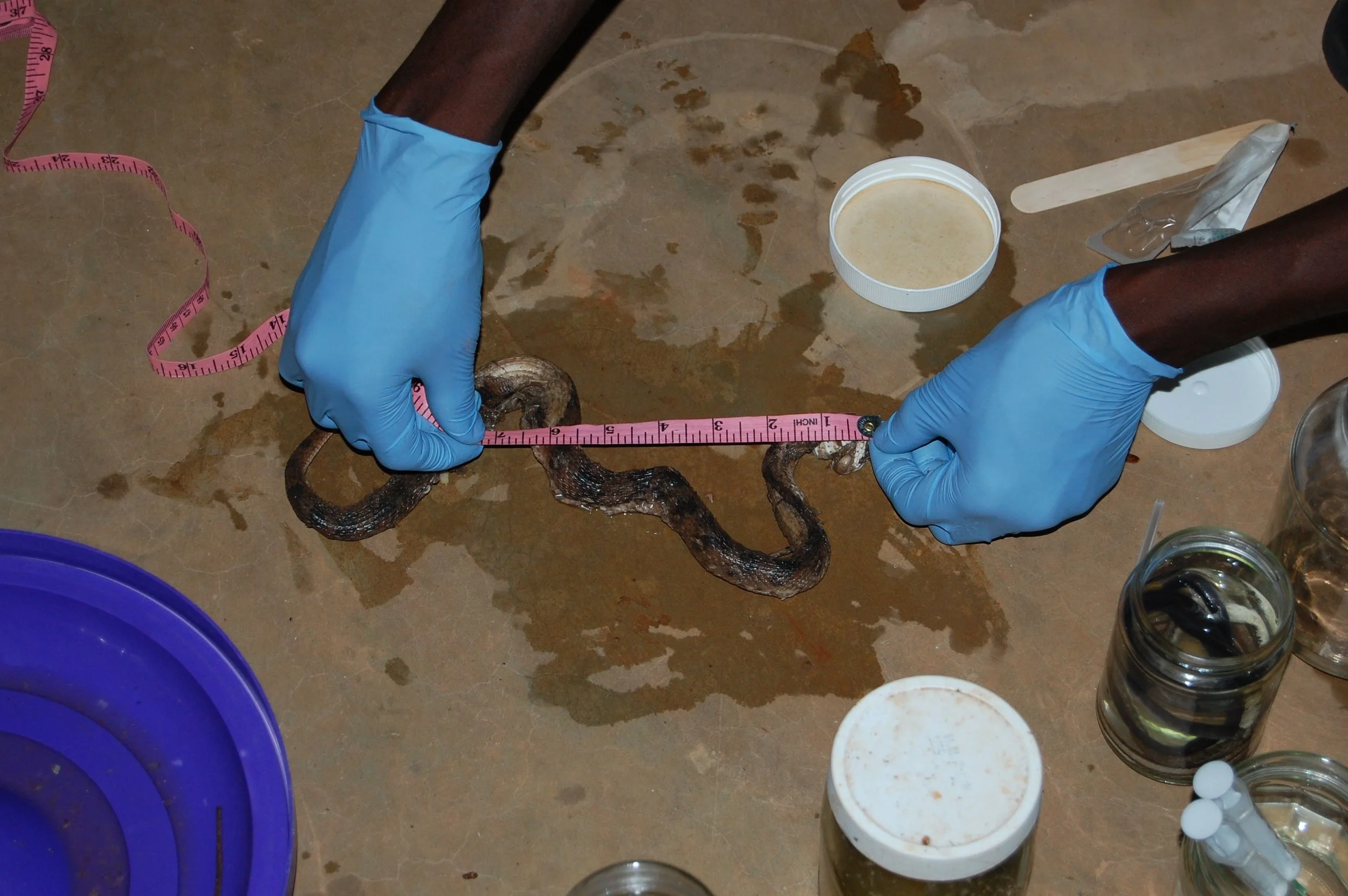 Relevant Benin Photos - 1104.jpg