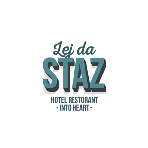 lejdastaz-logo-color.png