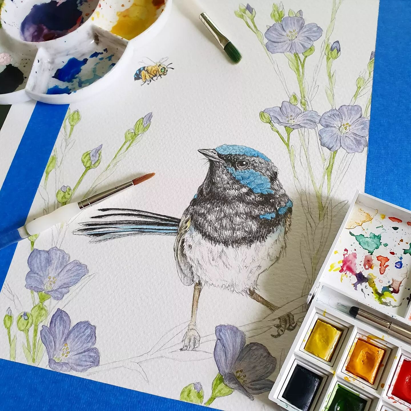🔥 Feathers and Fur 🔥 Art exhibition is on this long weekend at Morpeth Art Gallery ! Sat 11th to Monday 13th June, 10am to 5pm, free entry 🔥  love to see you guys there and hope you enjoy the exhibition!

Here's the watercolour process of 'Blue Ha