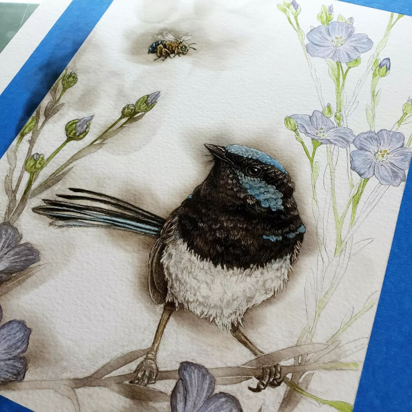 Superb Fairy- Wren is burning nicely!🔥 Catching up on posts that I've missed on Instagram, sorry for being MIA for most of the year! Stay tuned 🥰
#art #paintingwithfire #fumage #wildlife #birds #instaart #birdsofinstagram #australia #native
