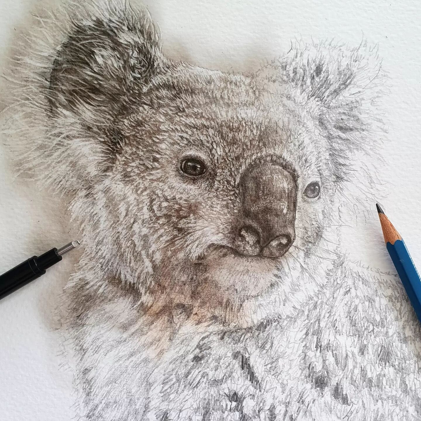 I was cleaning up old pieces in my drawer and found this little guy half done! Will finish the burn so he's a little more whole 🥰🔥

#art #paintingwithfire #fumage #wildlife #koala
