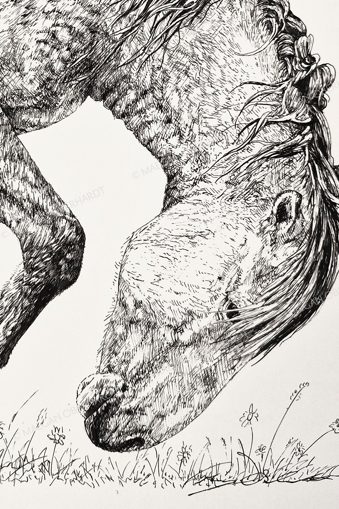 OBE-2026101-PinkSnip-Inkdrawingprint-close.jpg