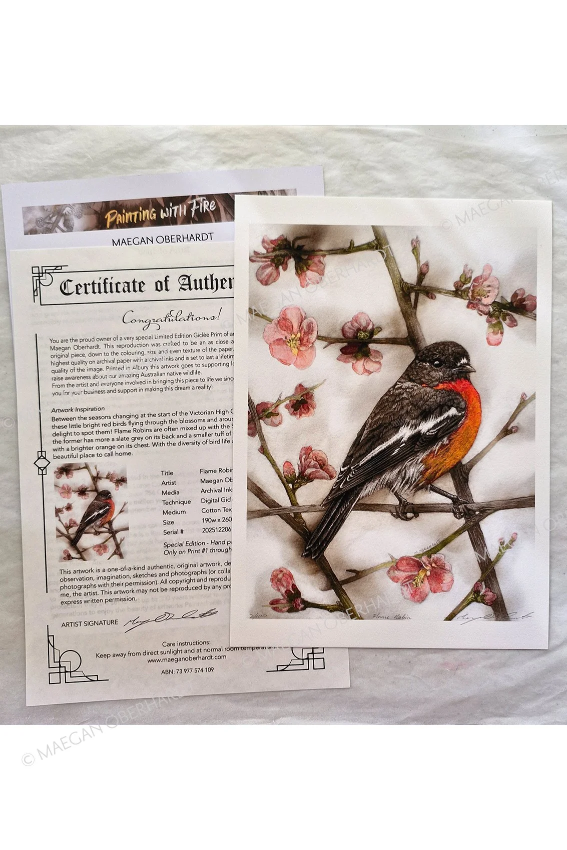 OBE-206-flame robin-print.jpg