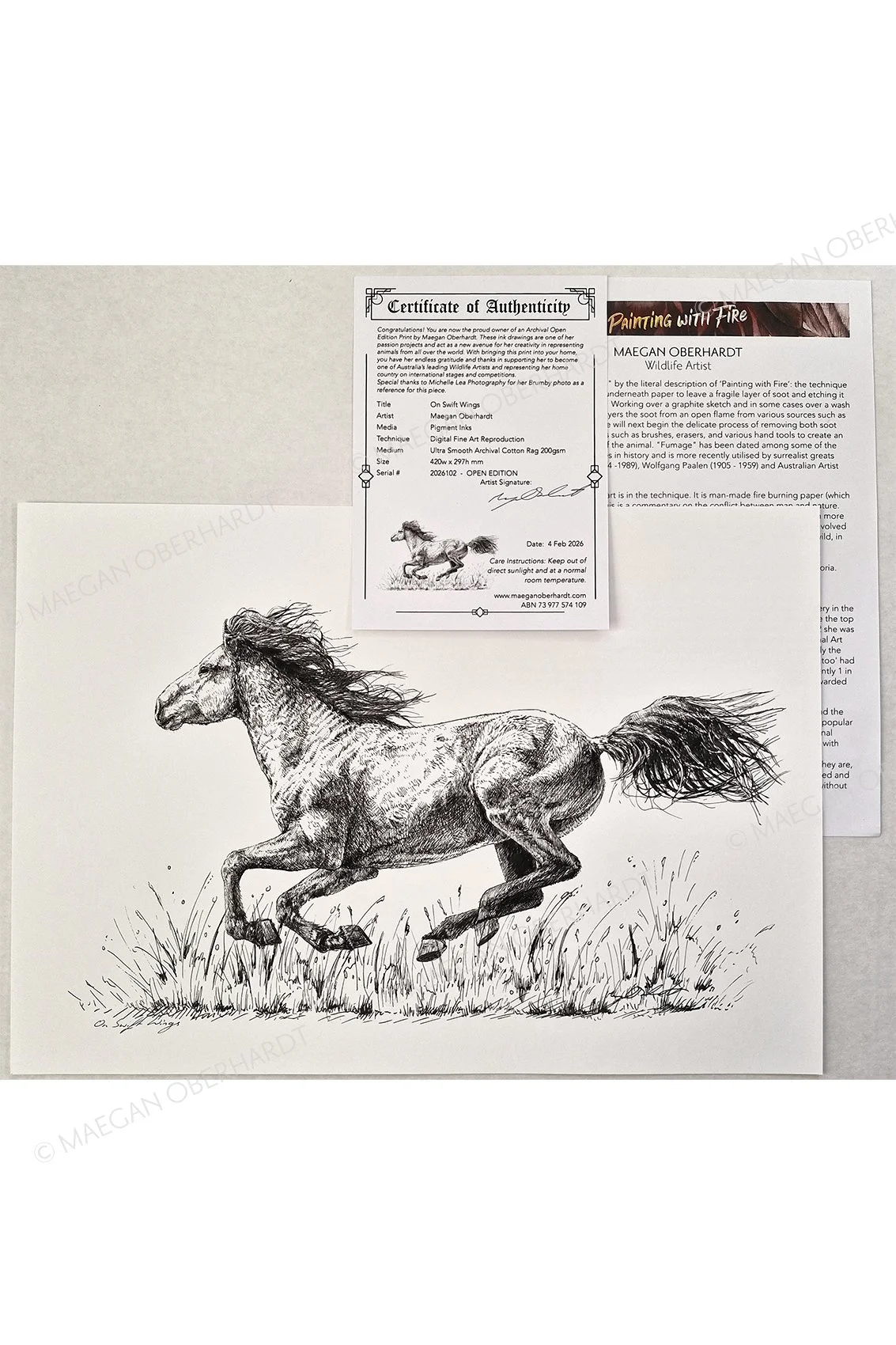 OBE-2026102-OnSwiftWings-Inkdrawingprint-print.jpg