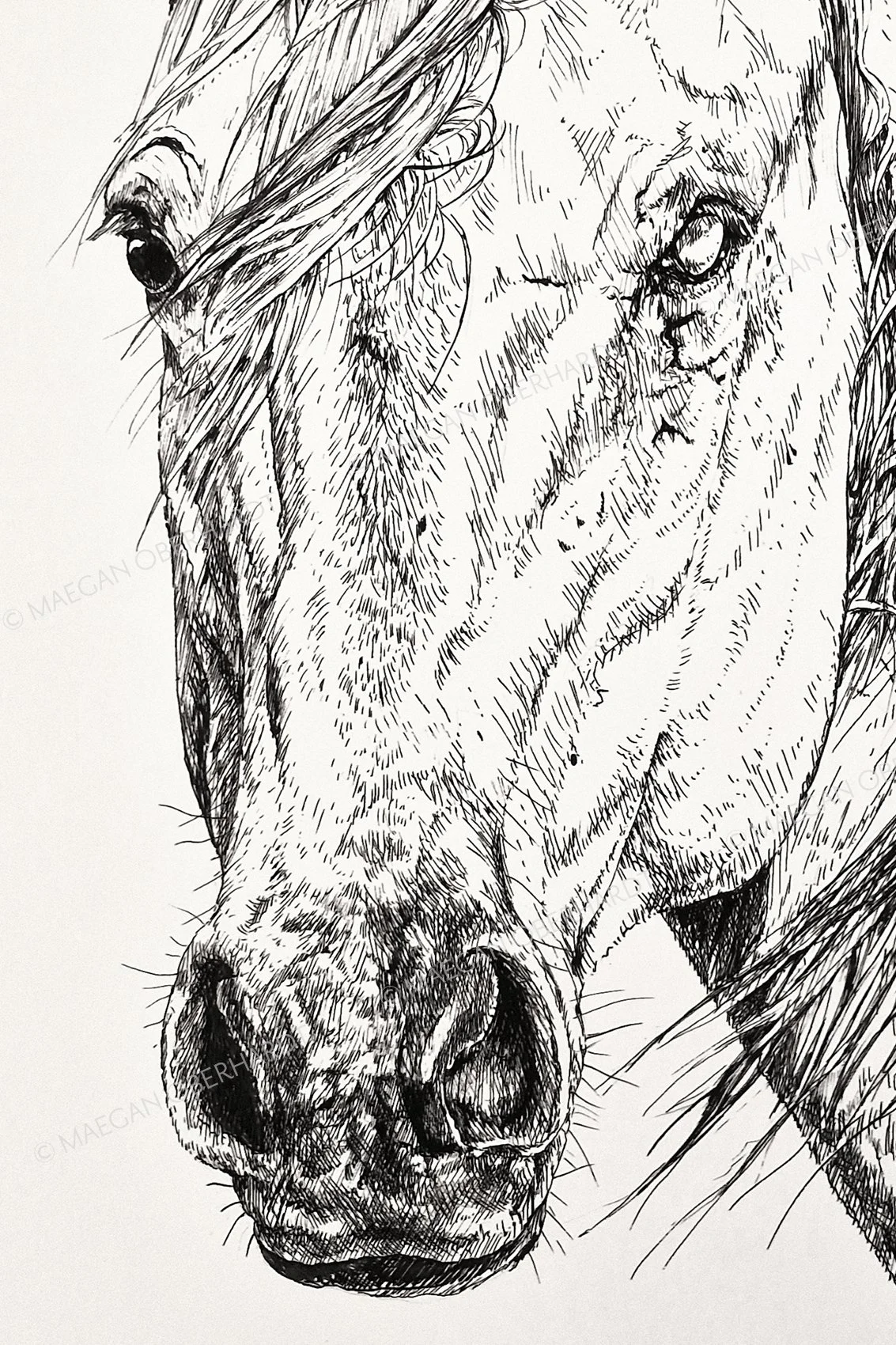 OBE-2026103-Frosty-Inkdrawingprint-close.jpg