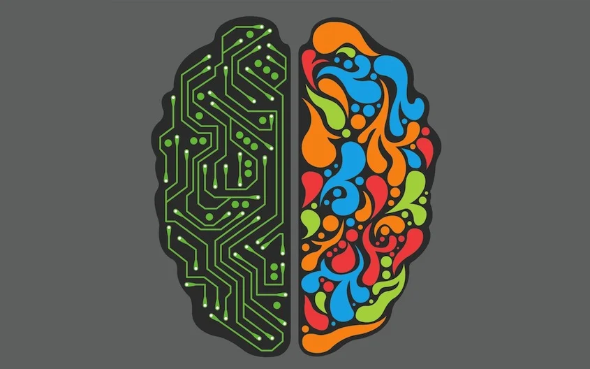 left_right_brain.jpg