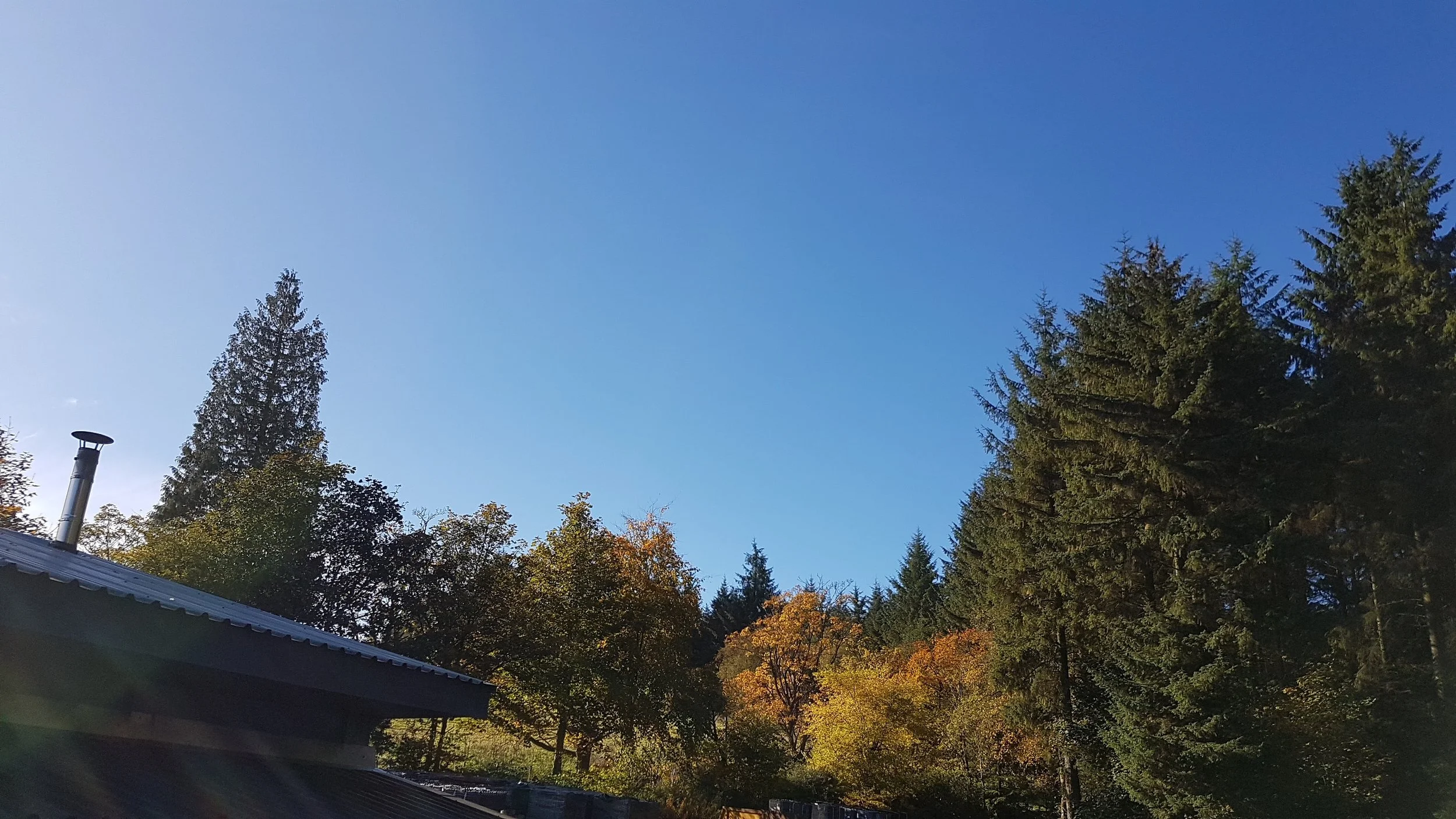 IMG_20181006_112012_260.jpg