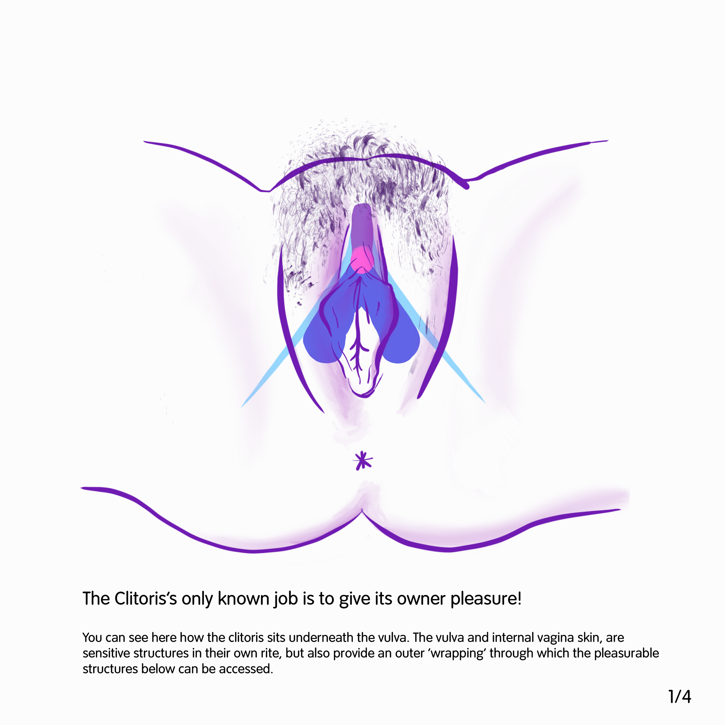 WEB clitoris 1.png