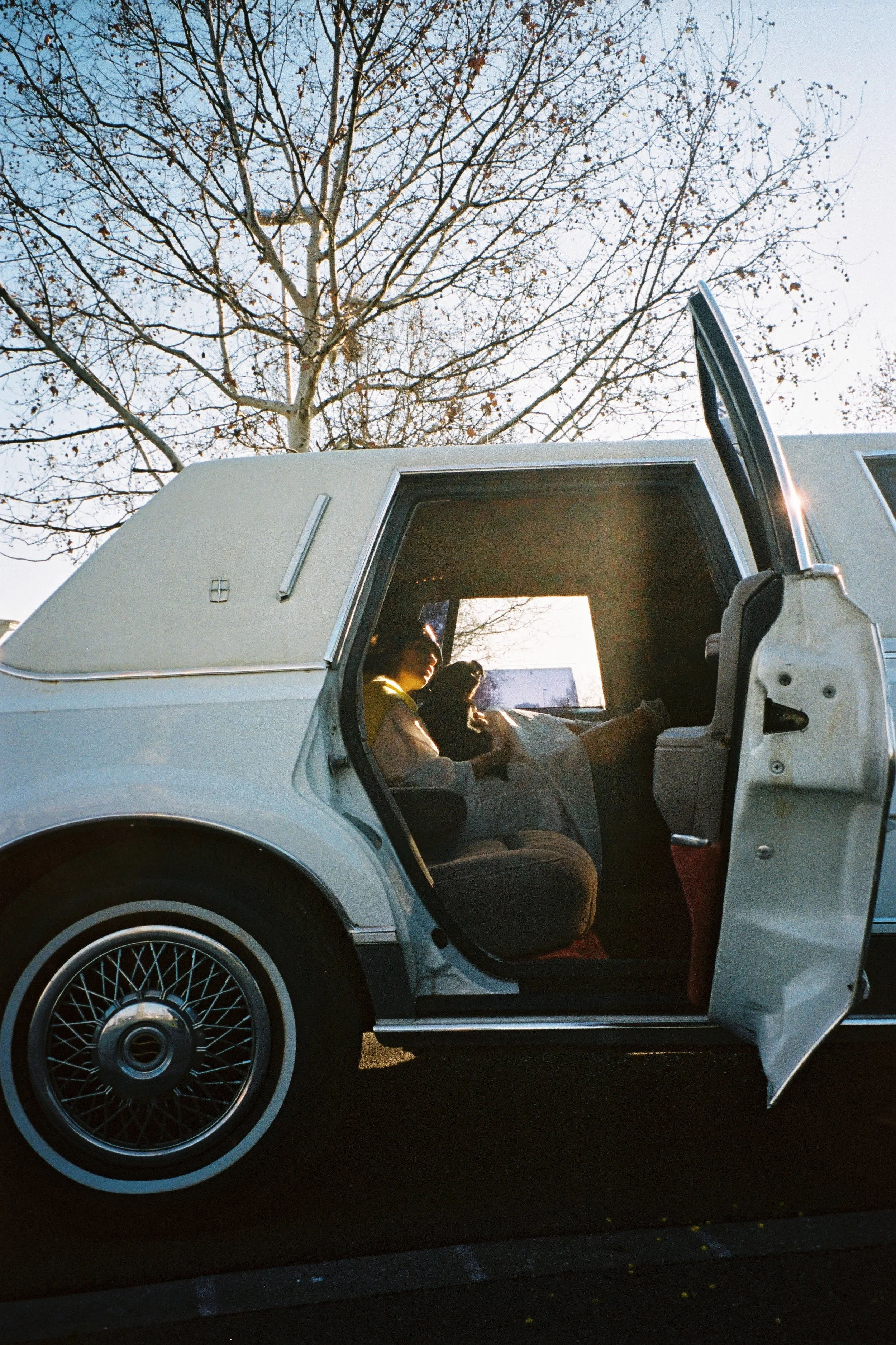 Mona Black Hat Limo #1.JPG