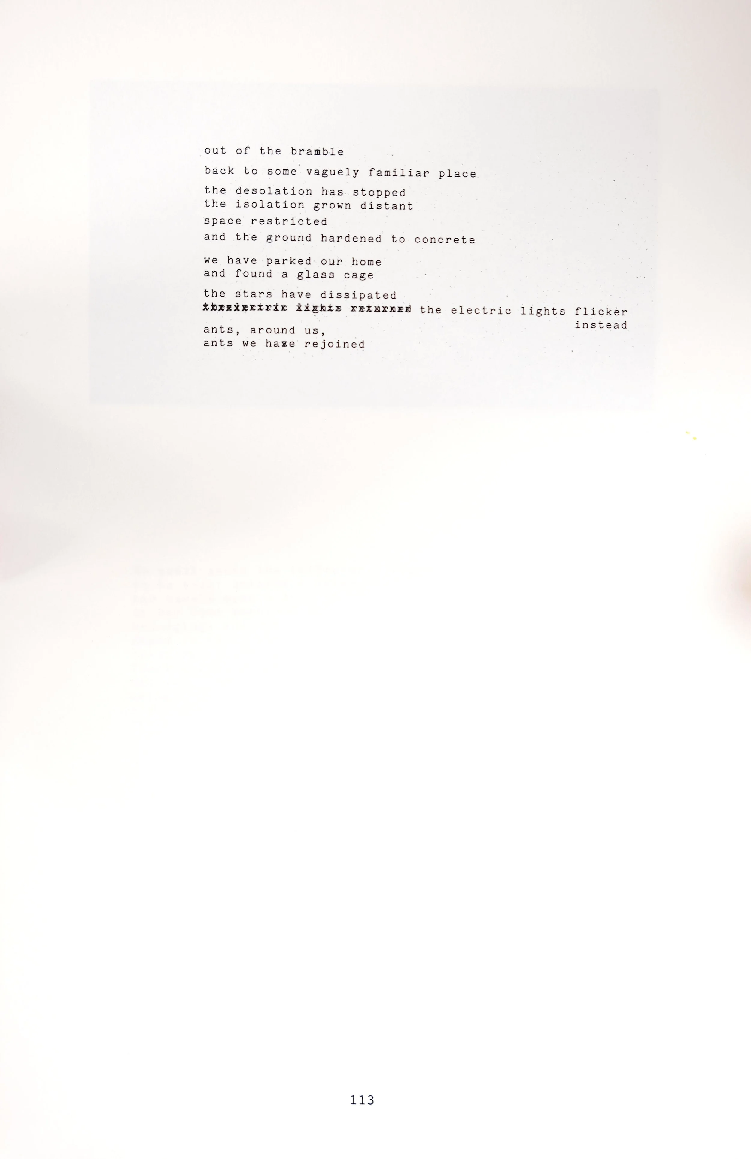 113.JPG