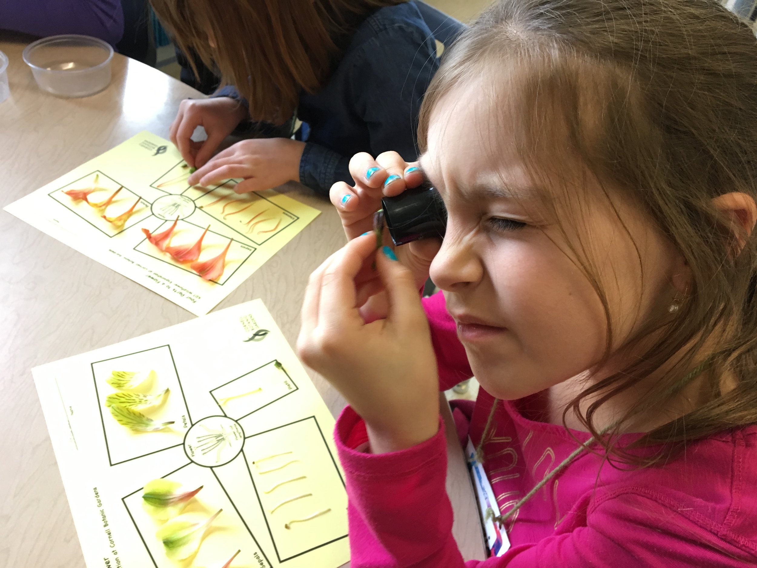 Apr 5 CBG_CEG (67).JPG