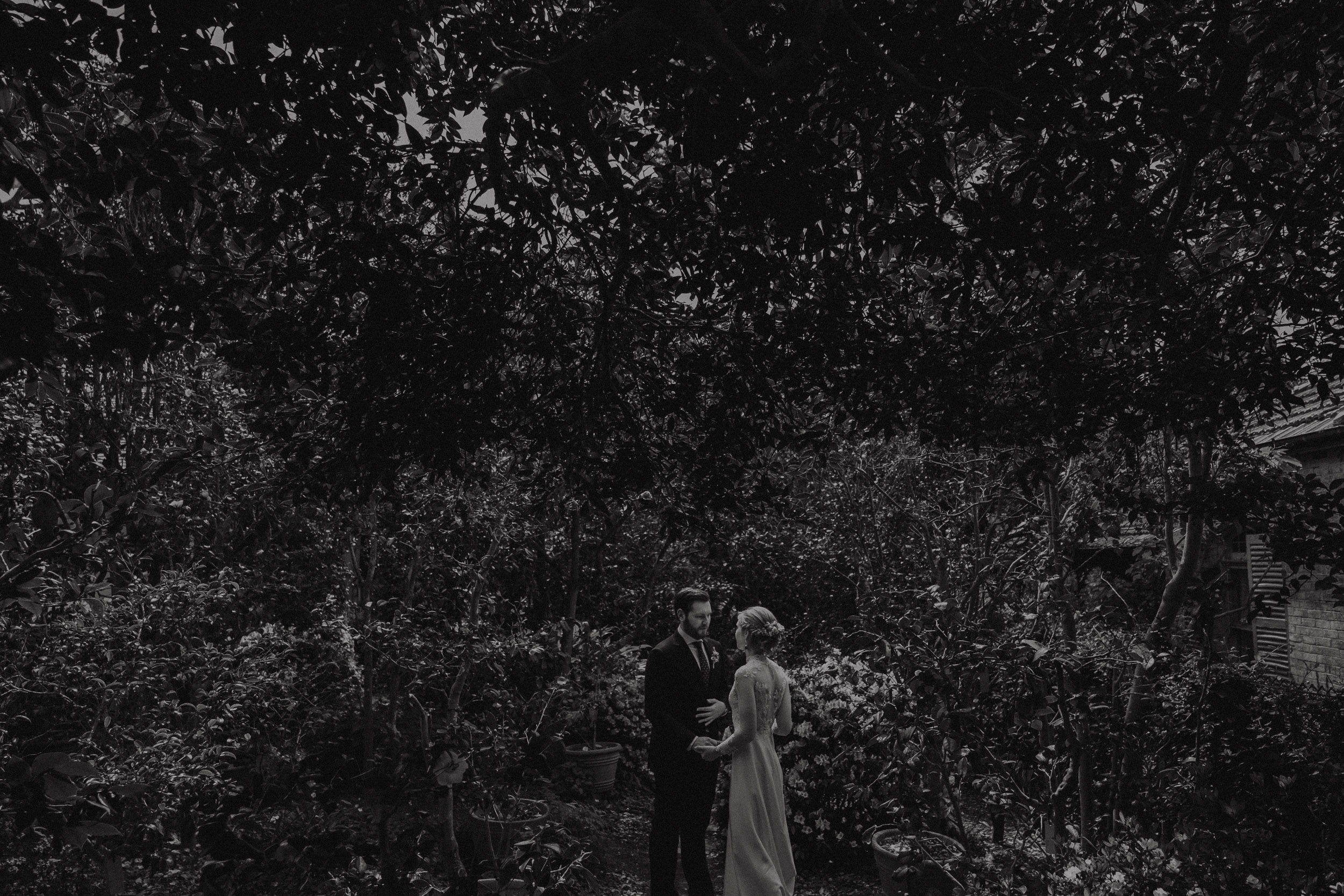 TD04 (1 of 1)-2.jpg