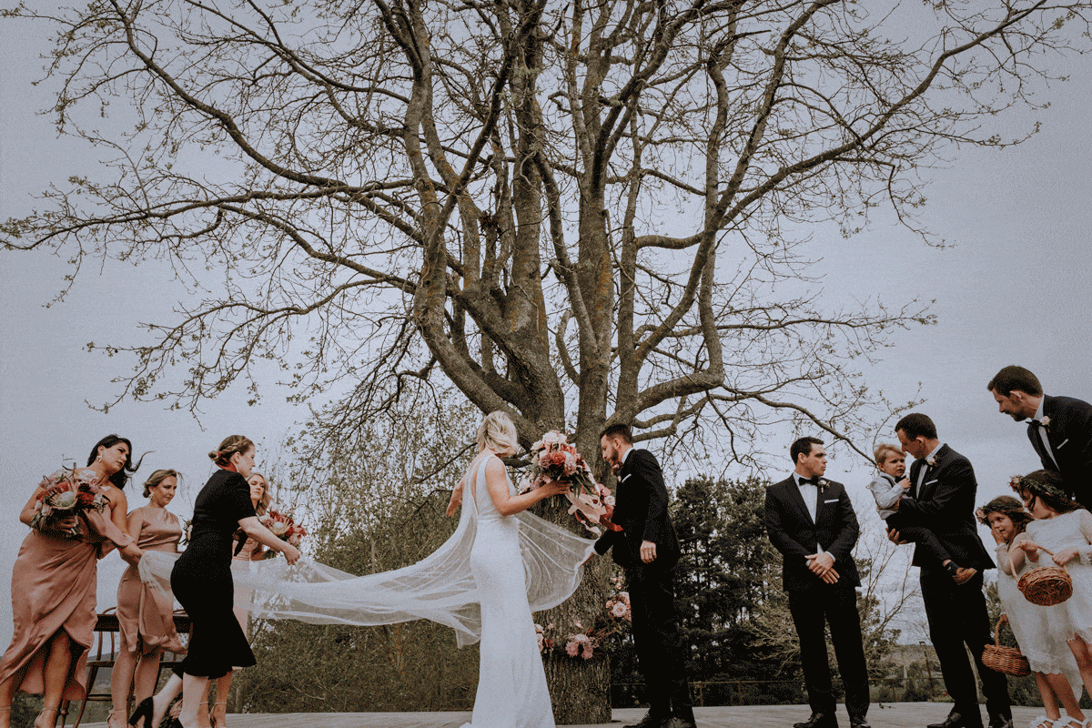 Sydney & Blue Mountains Elopement & Wedding Photography. Destination wedding photographers. Vegan weddings. Emotional and Non-Traditional wedding photography.