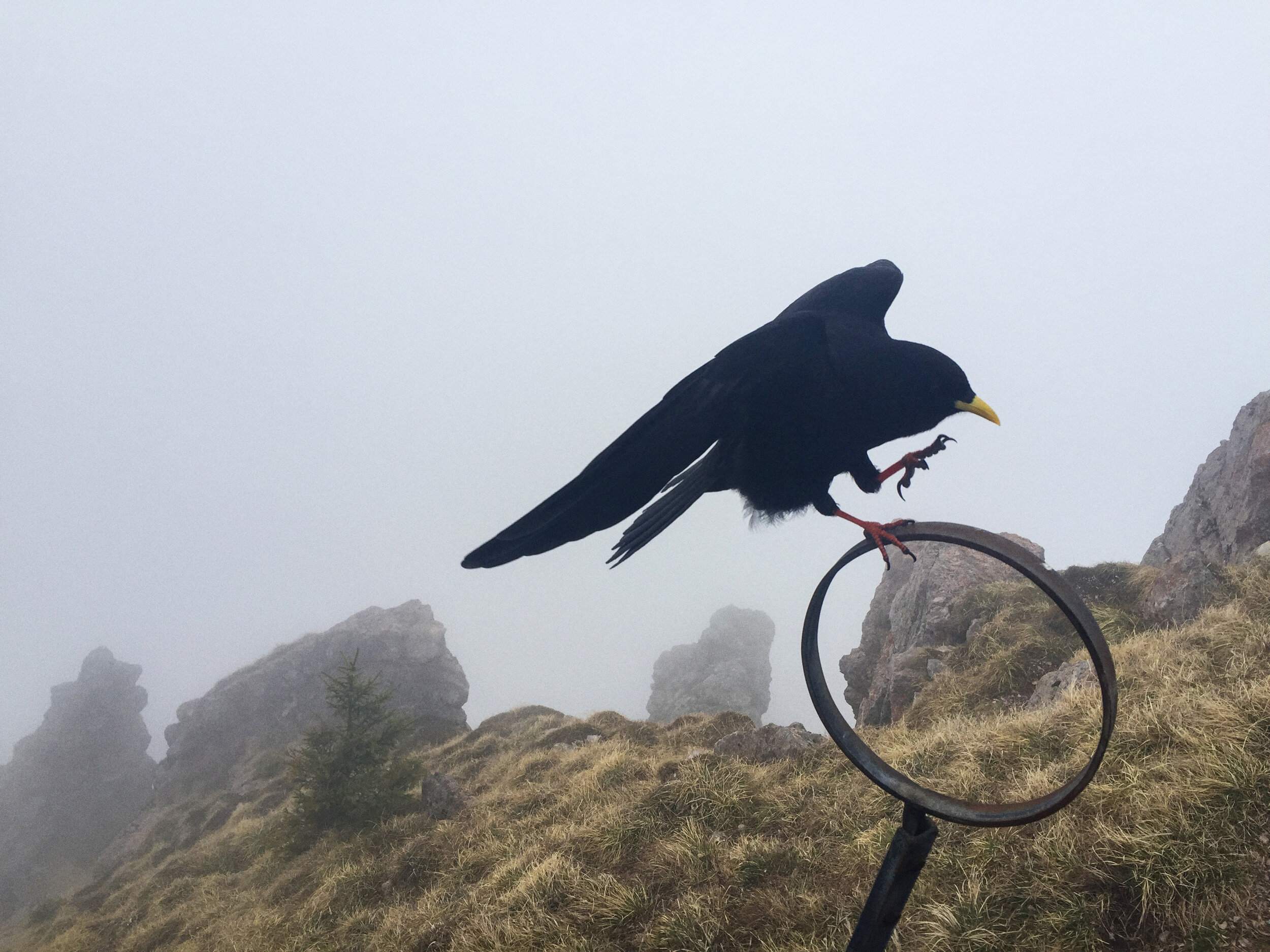 Foto 14.04.17, 12 49 12.jpg